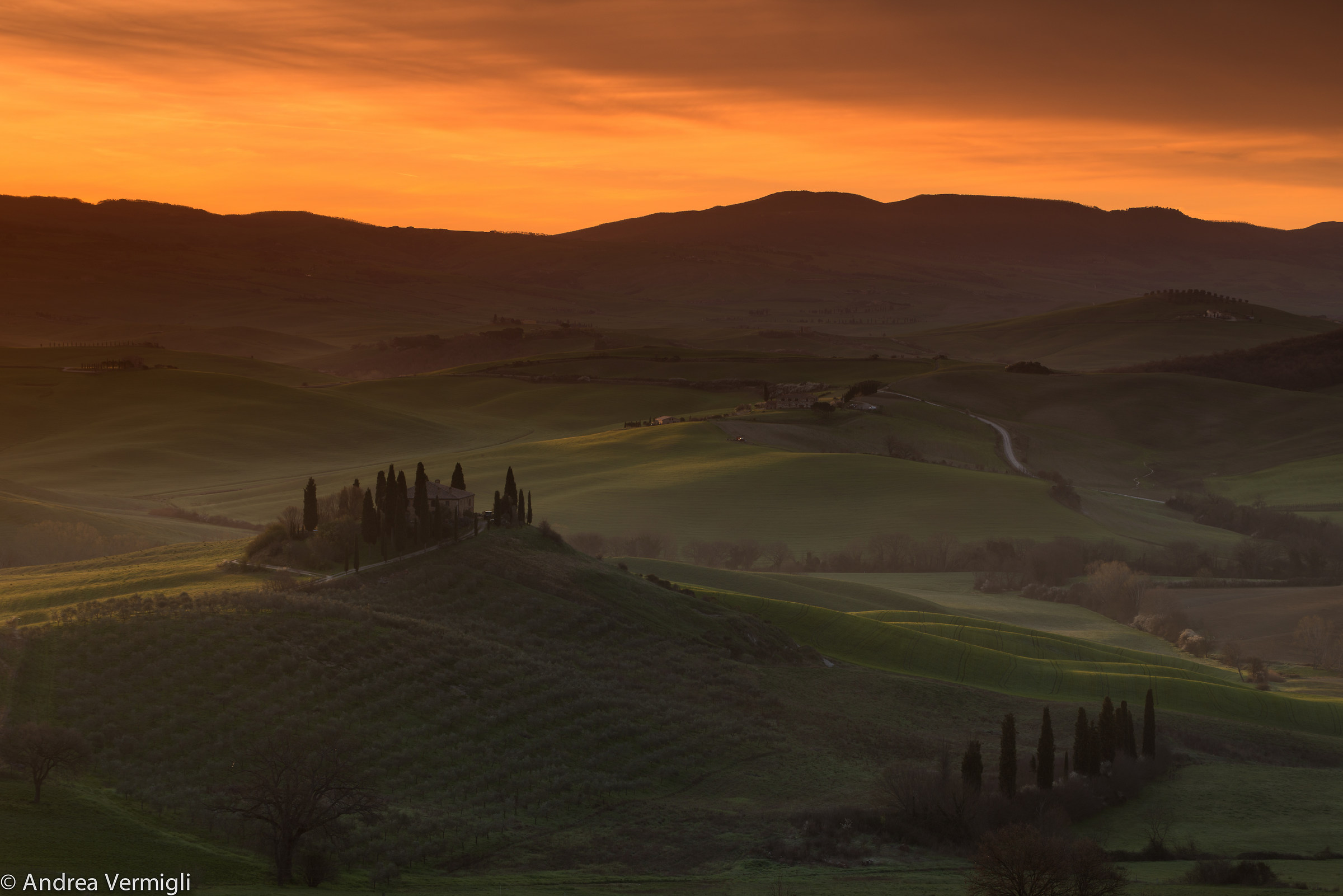 Belvedere Red Passion