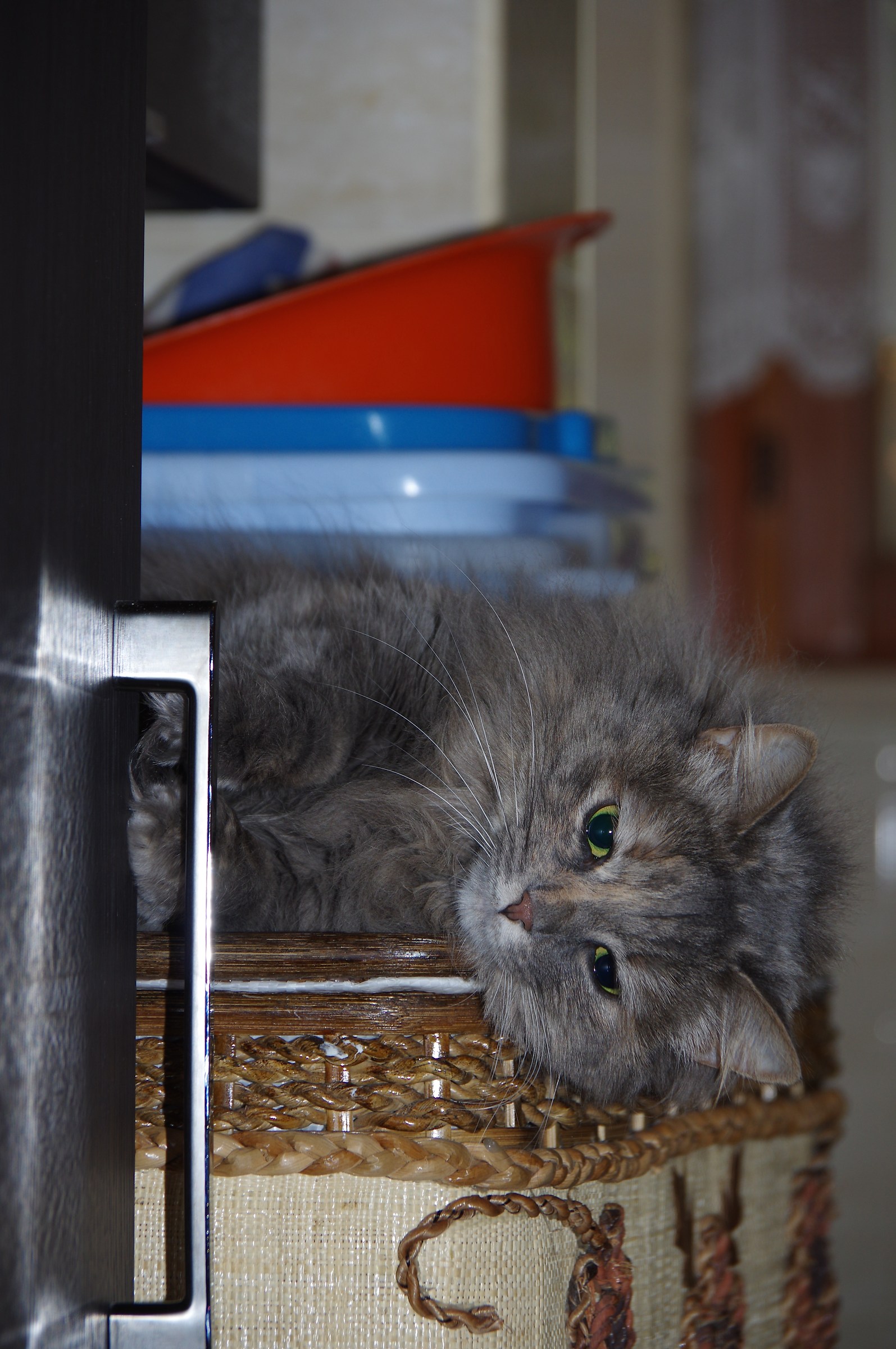 Ugh !!! I have to queue for the laundry .......