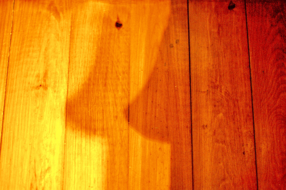 Shadows on the parquet produced by a towel.