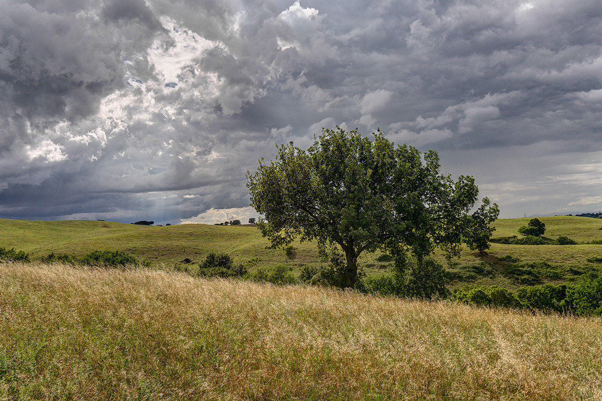 The calm before the storm