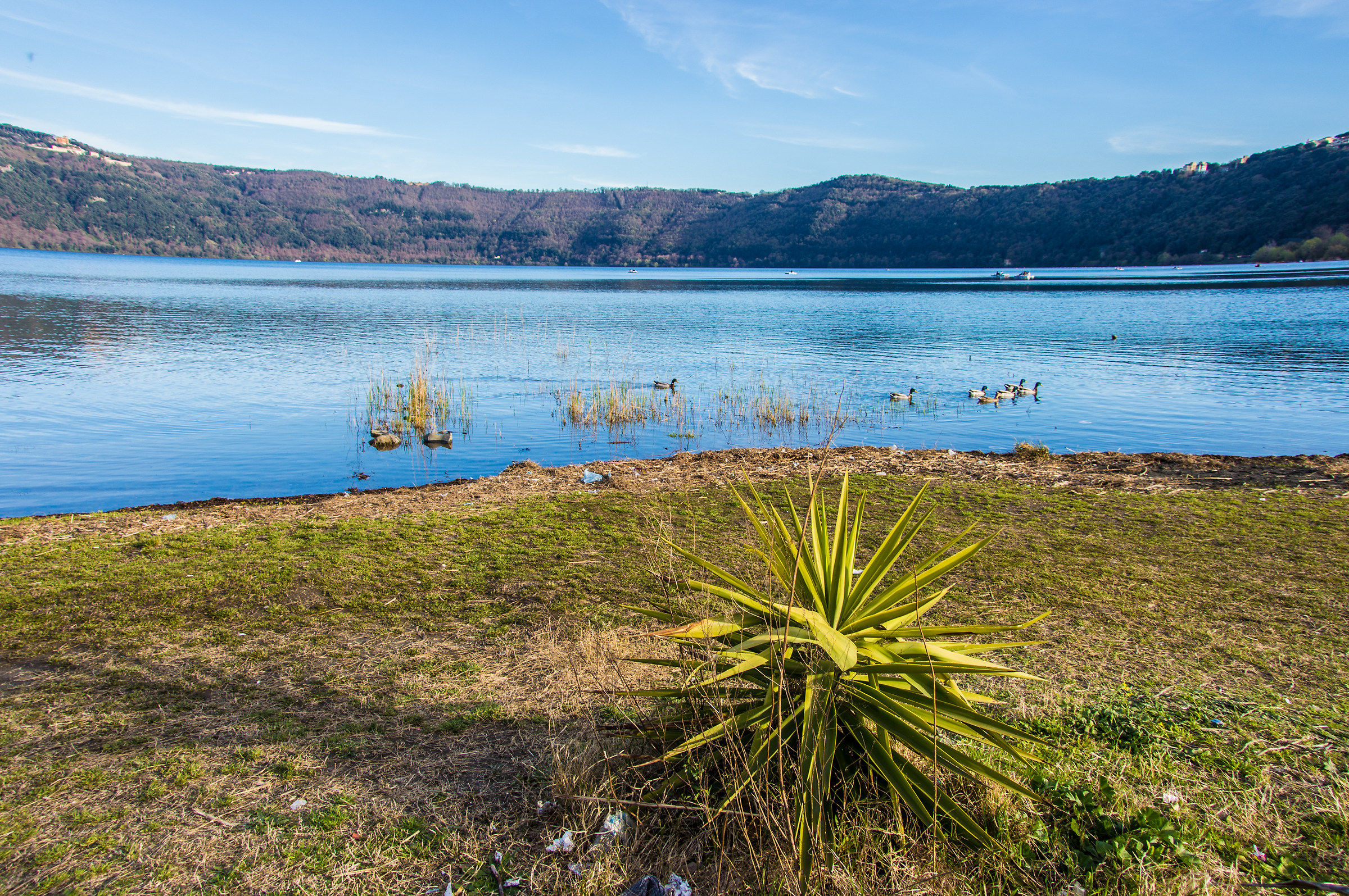 Lake Albano