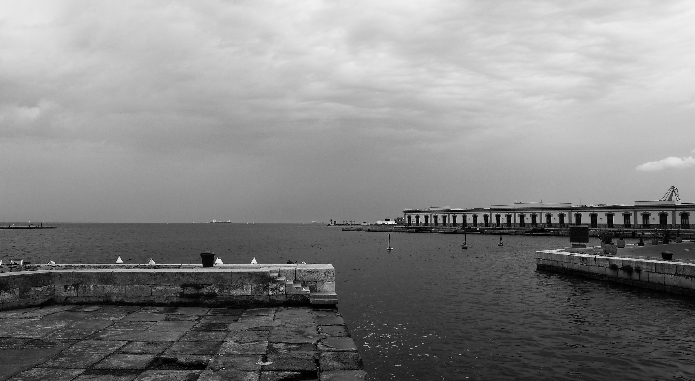 shores of Trieste