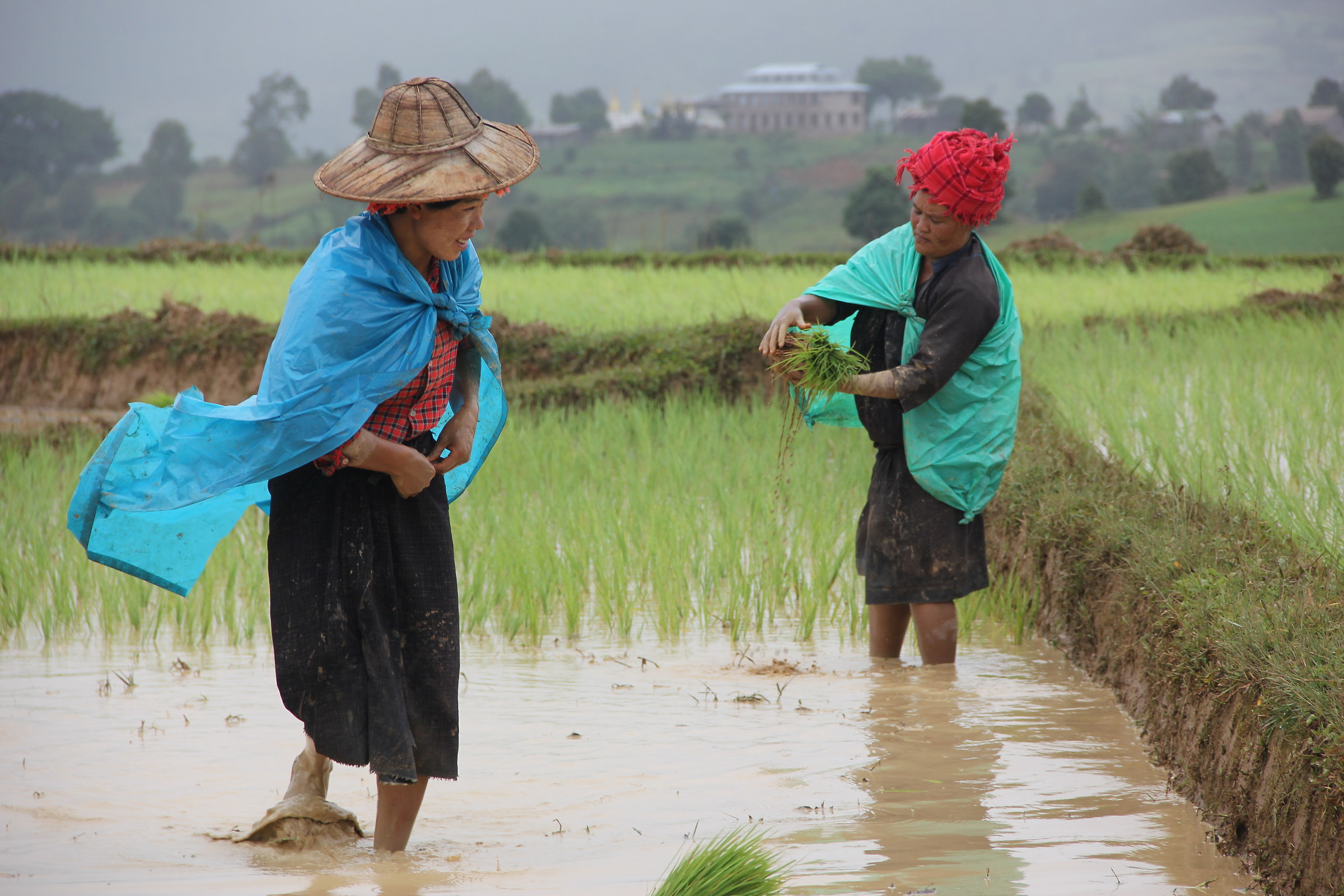 Above water and under water