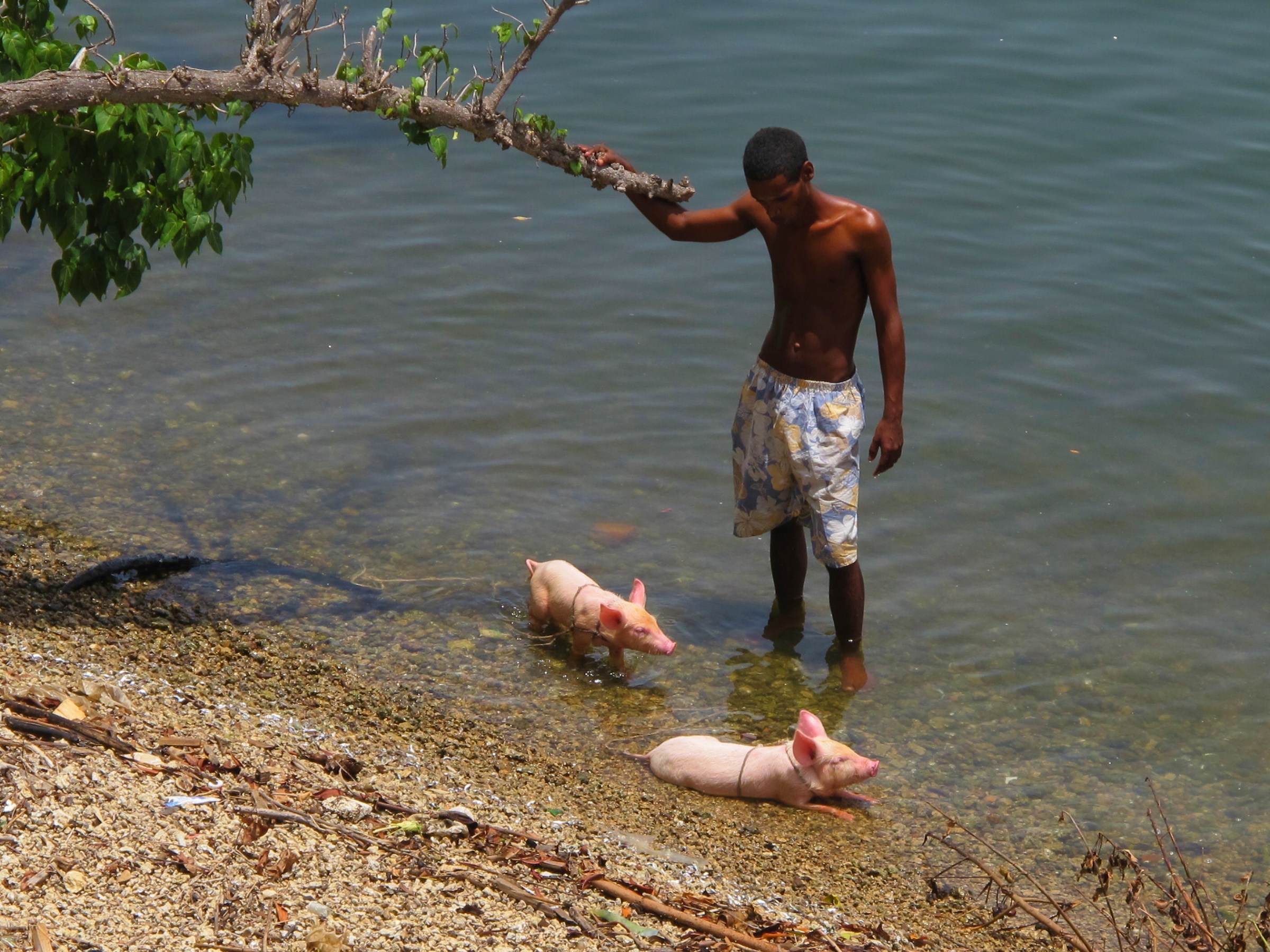 The bathroom before the grill