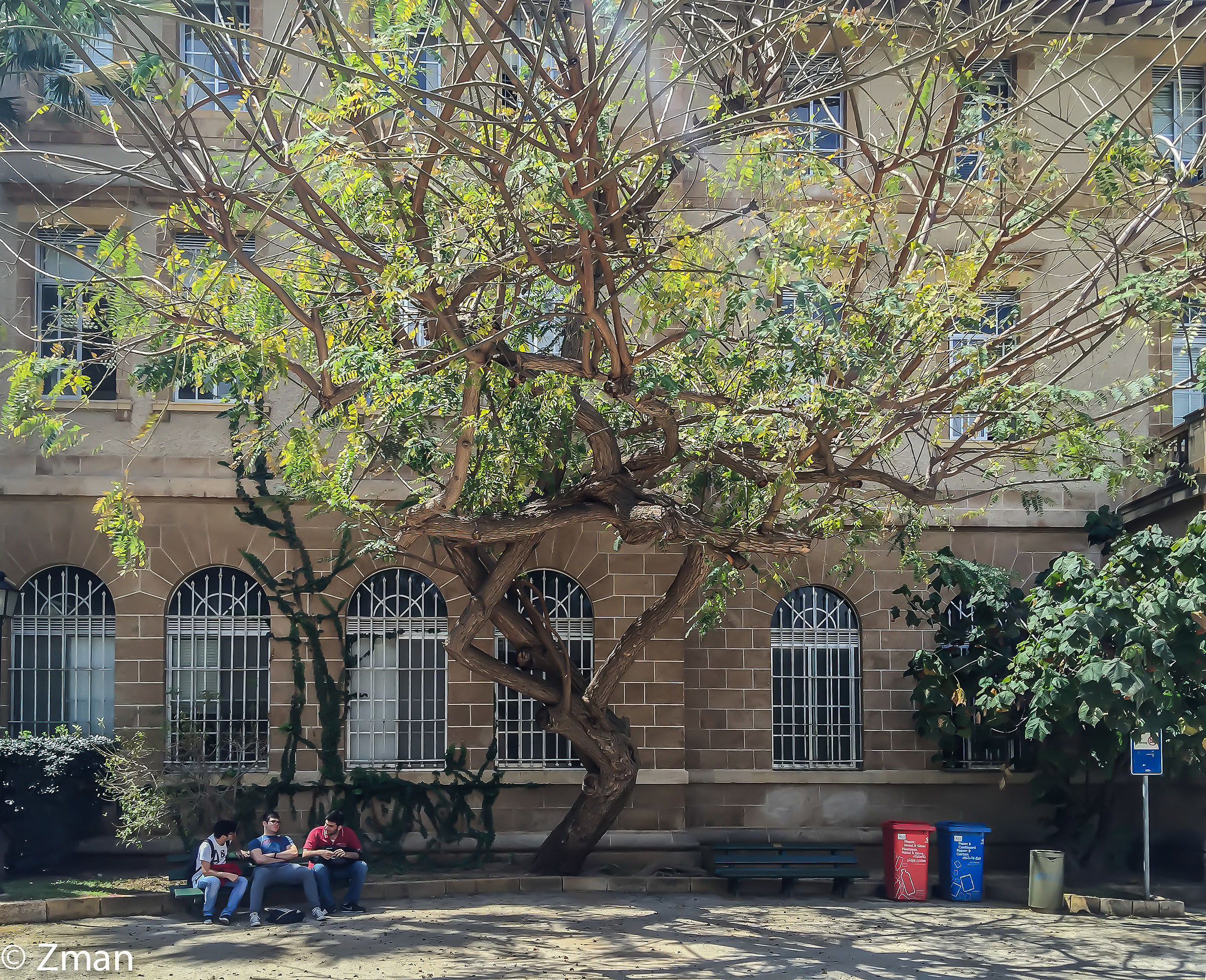 aub Campus