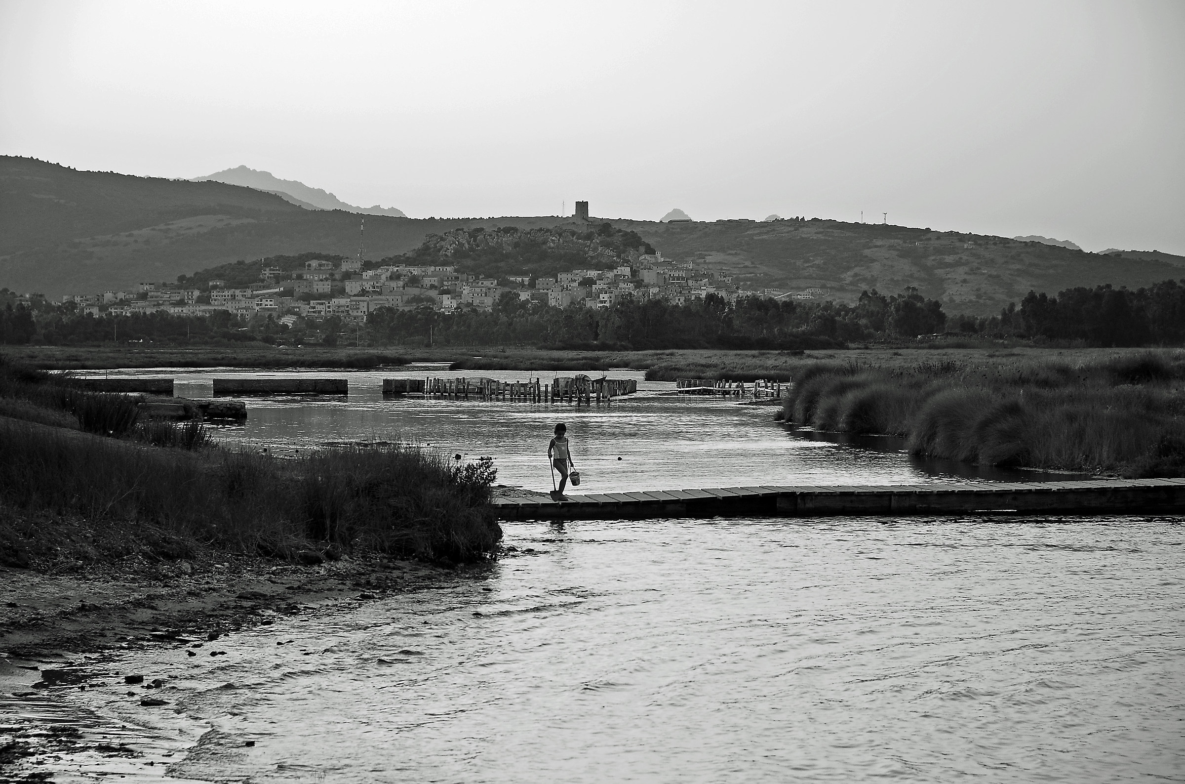monkfish with cockles