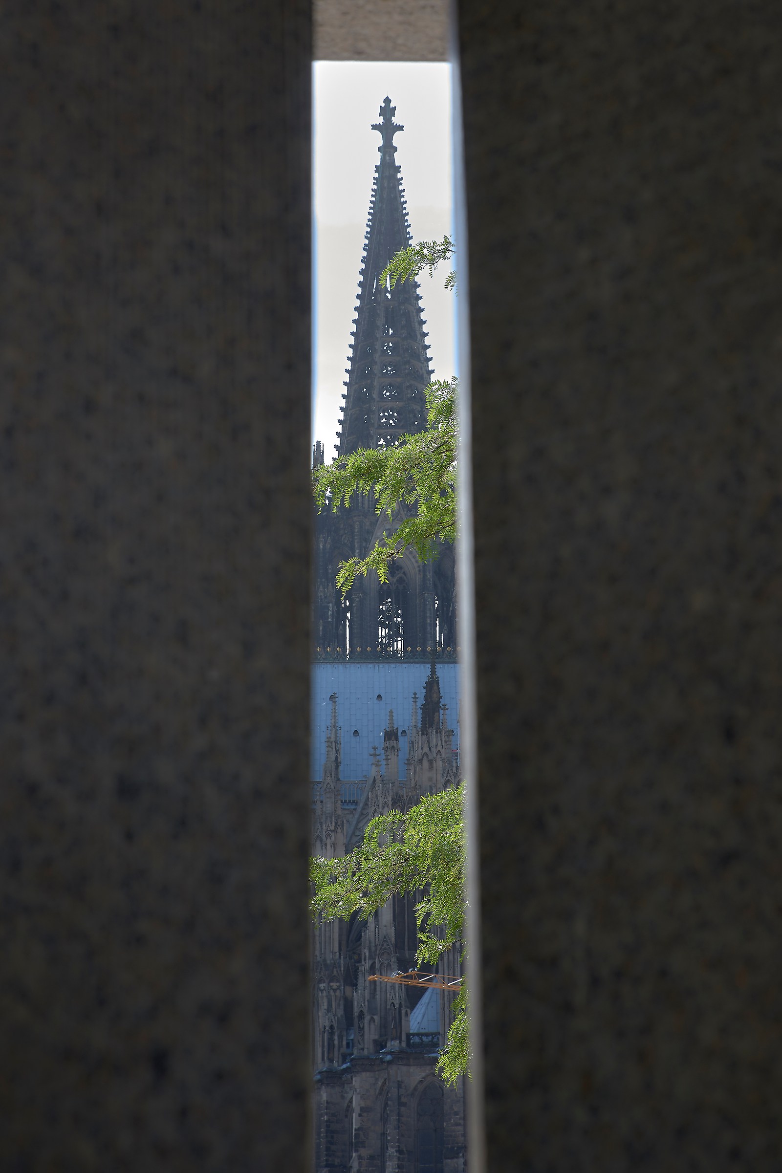 Views and perspectives