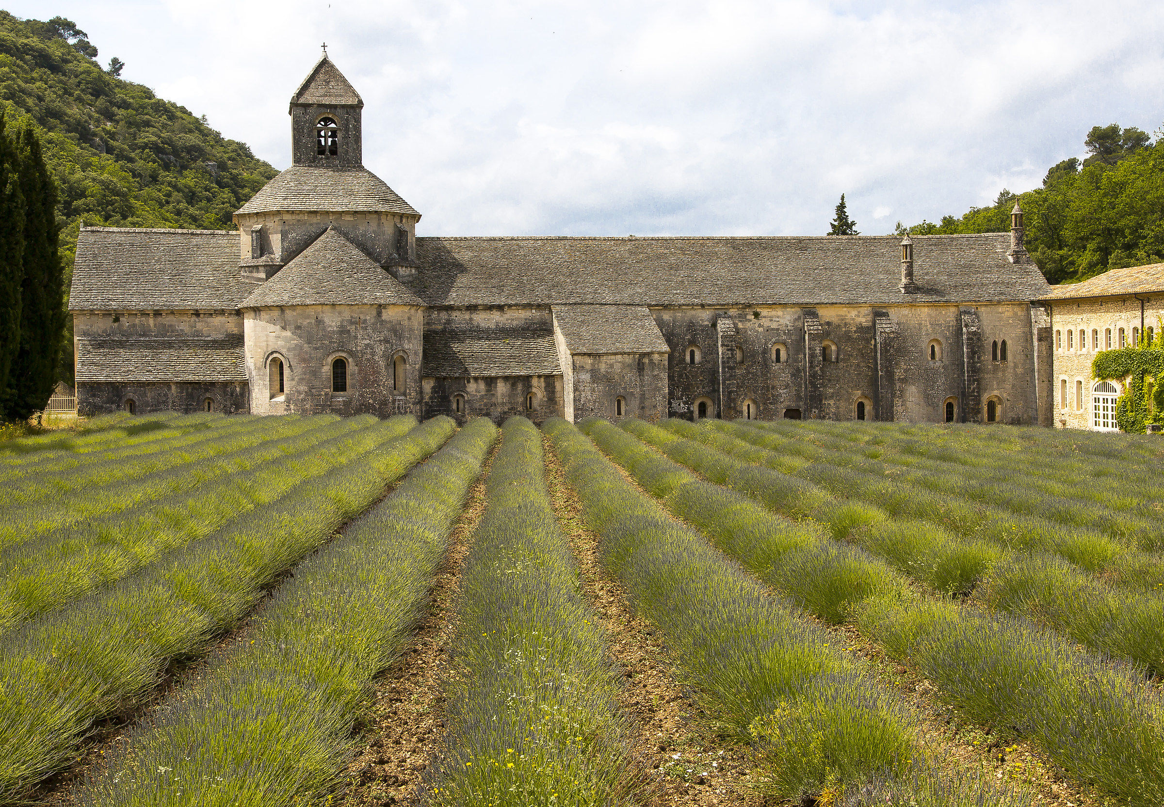 Abbye de Senanque