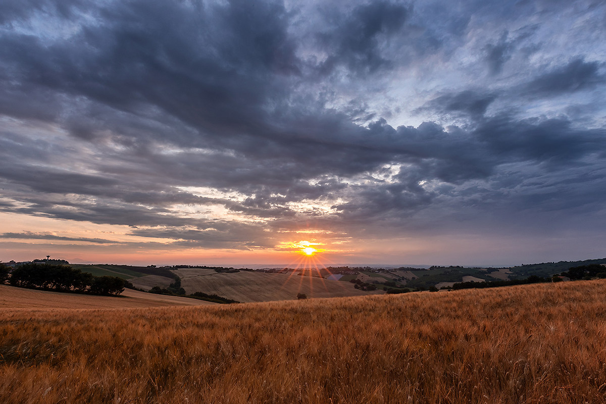 the countryside near home