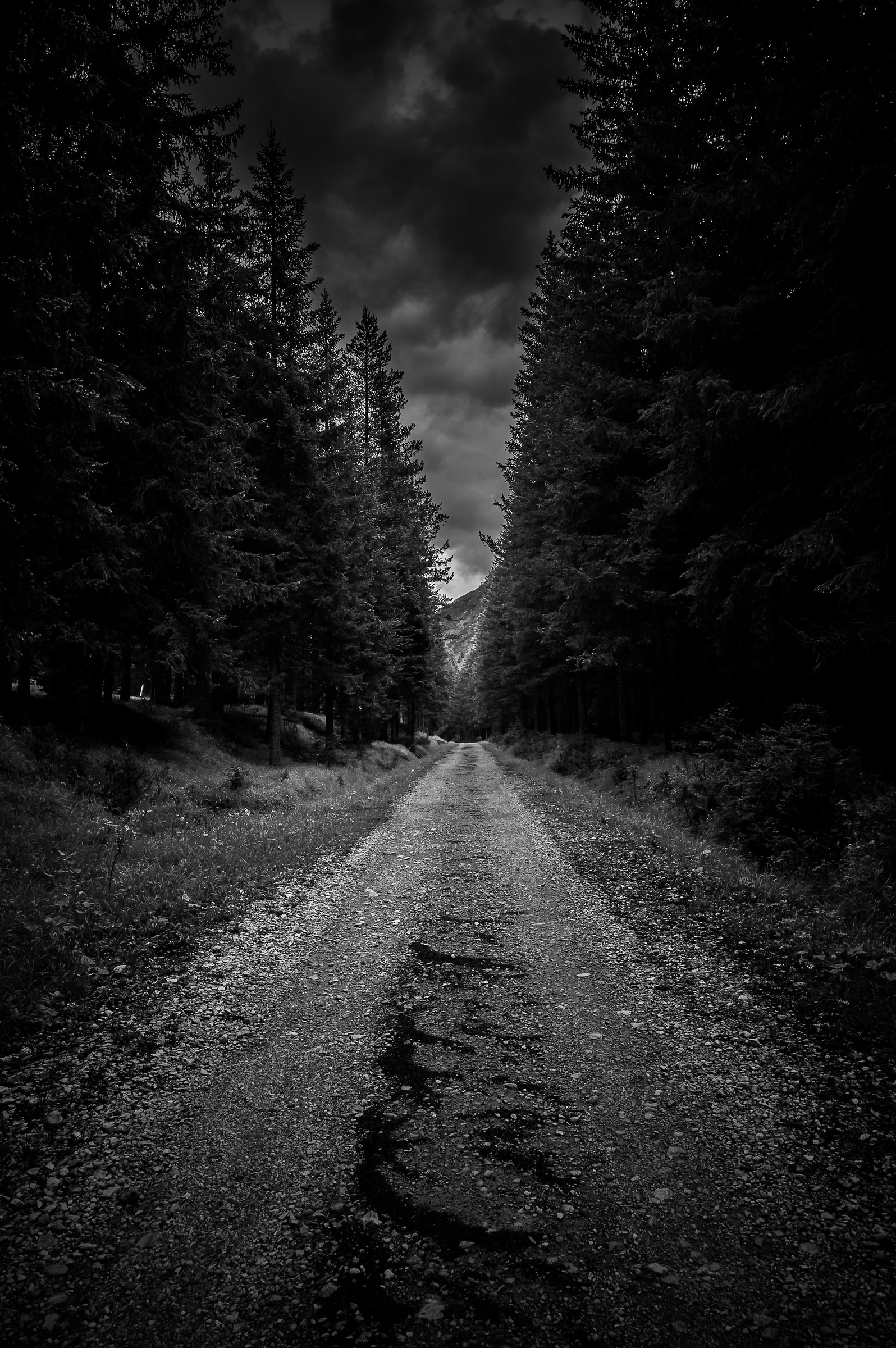 "In the middle of the journey of our life ...."