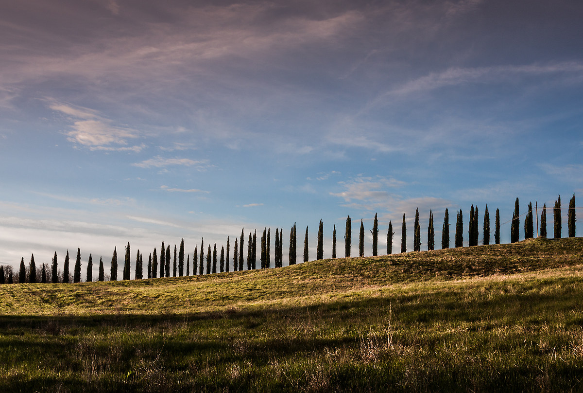 Tutti in fila appassionatamente