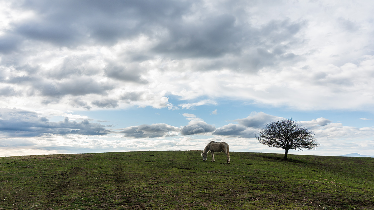 1970 progressive rock cover art