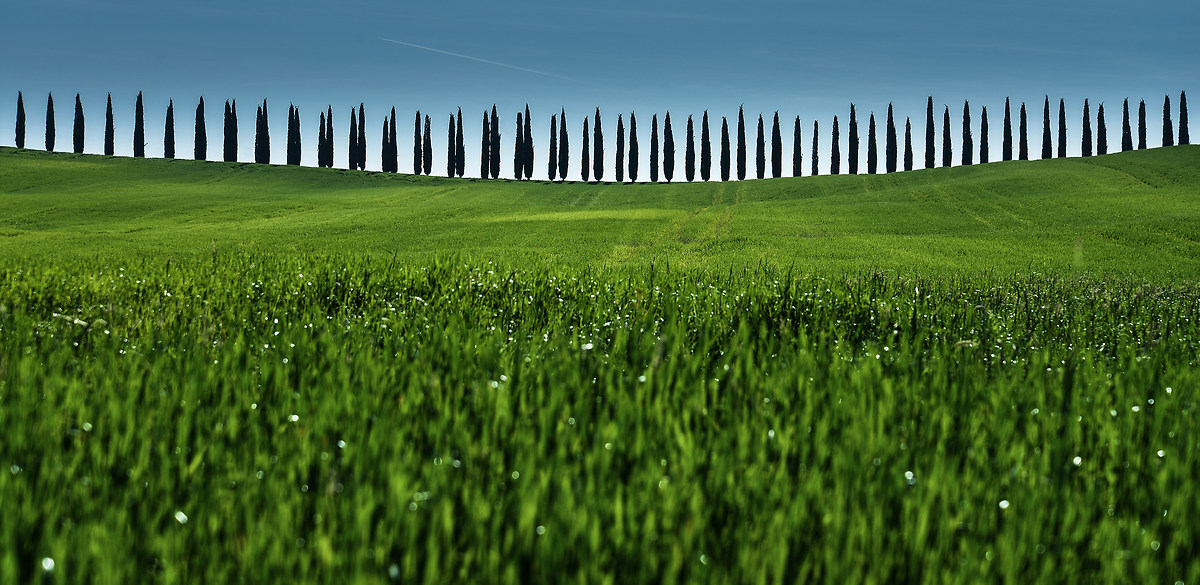 Poggio Covili - Val d'Orcia - Tuscany