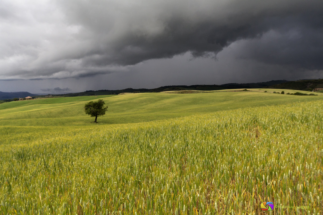 Temporale in arrivo!!