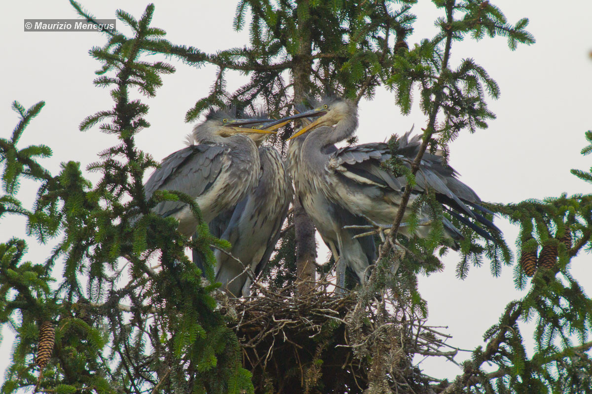 Quattro chiacchiere tra amici.....