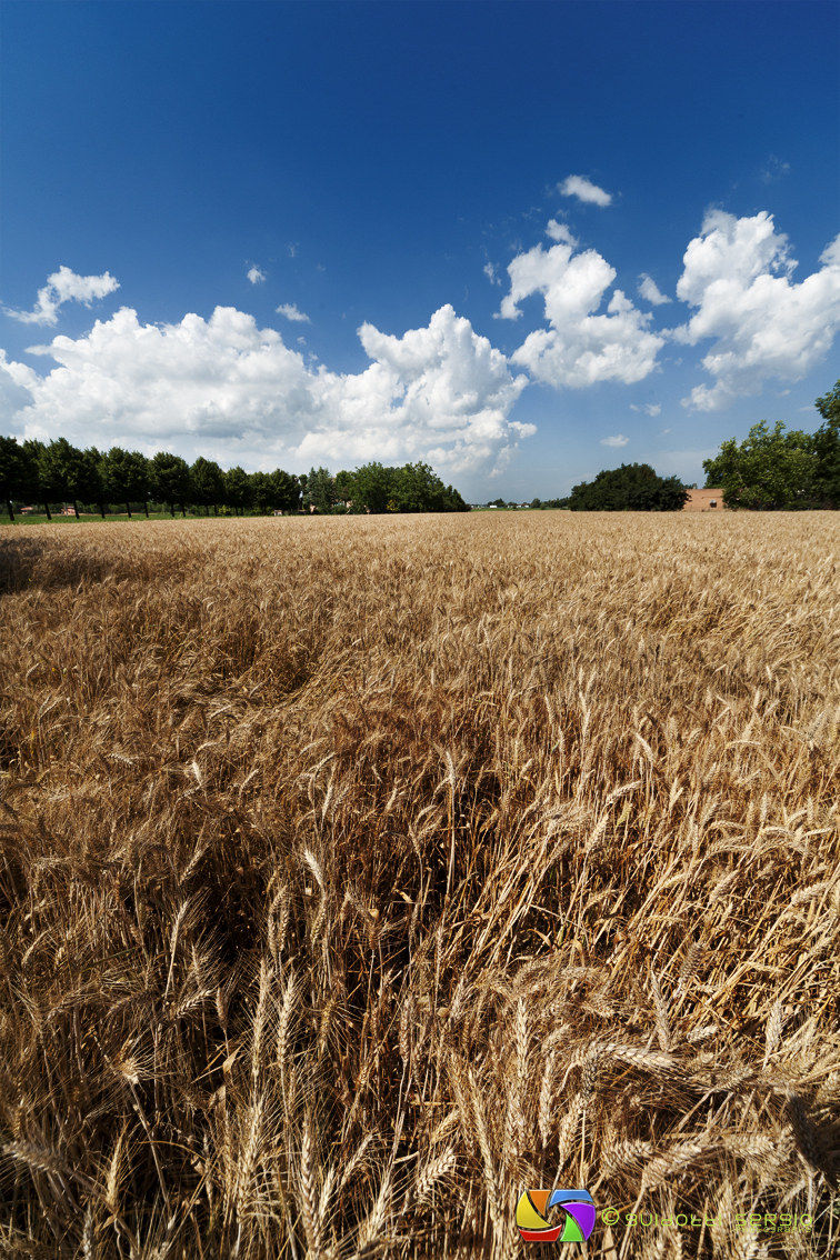 Nei dintorni di Modena - 2