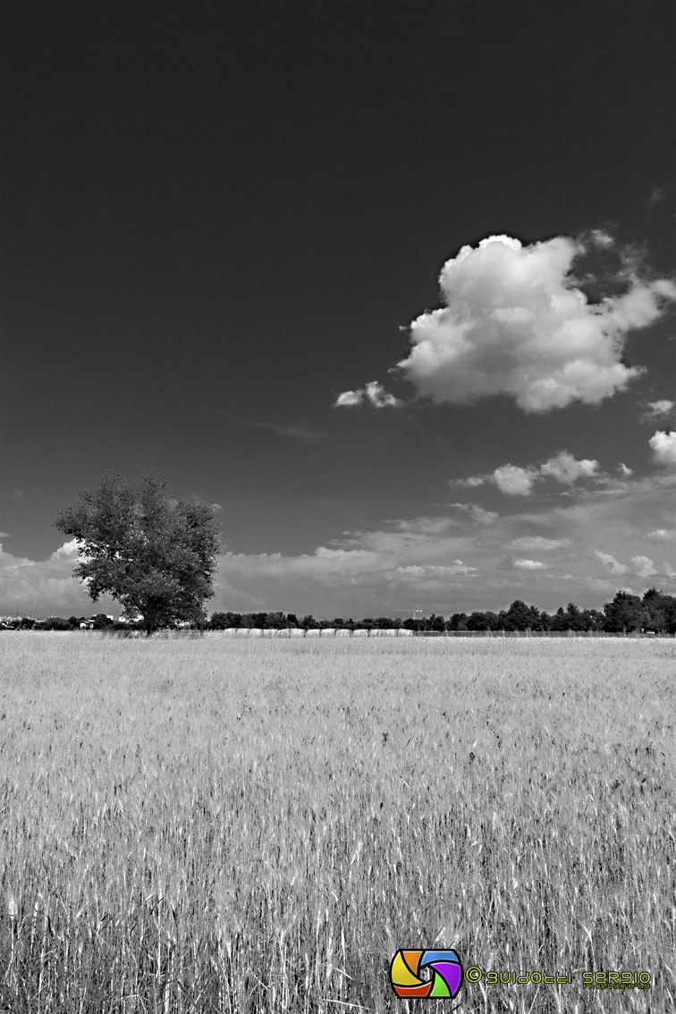 Nei dintorni di Modena - 3