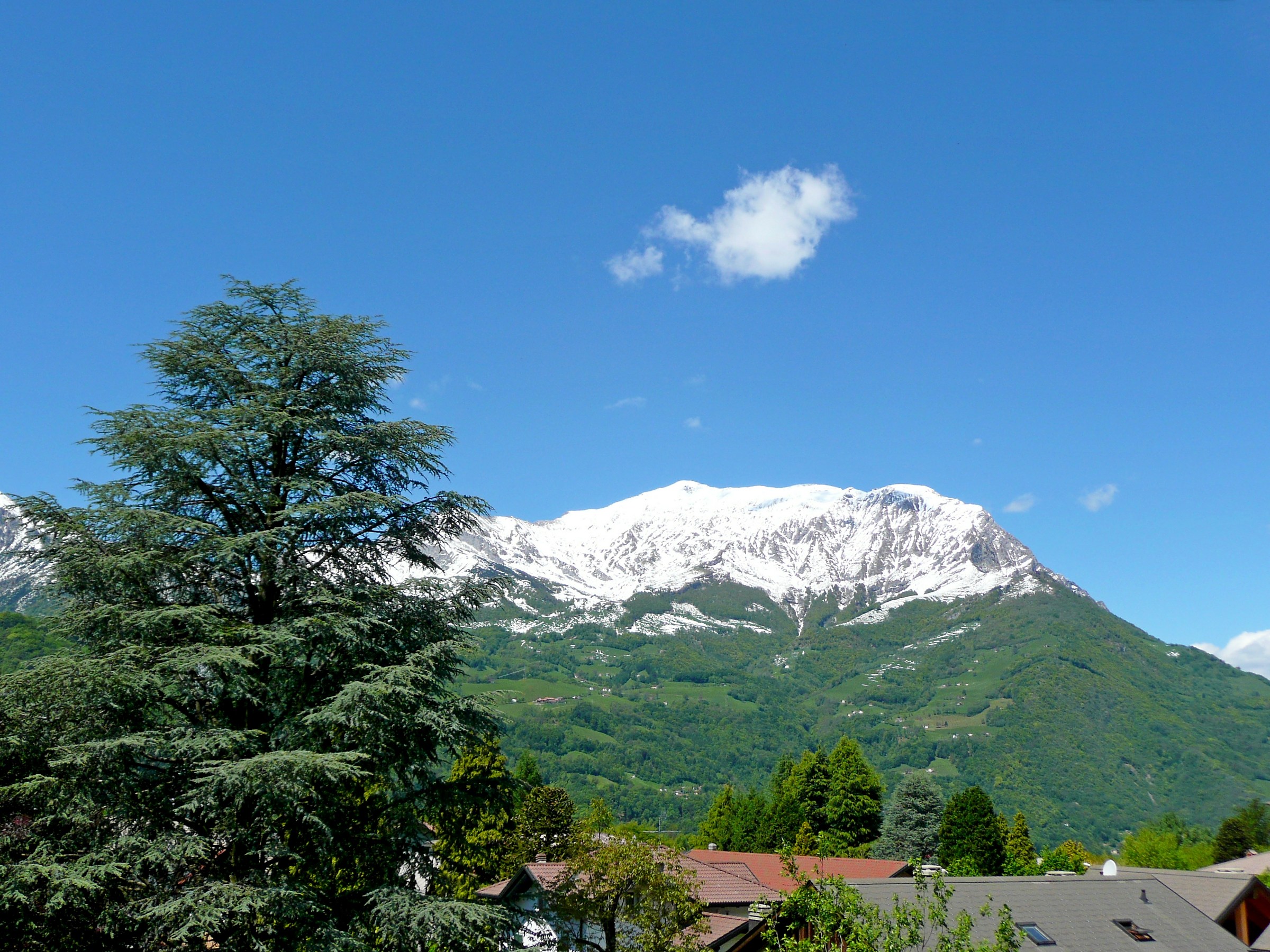 Grigna settentrionale