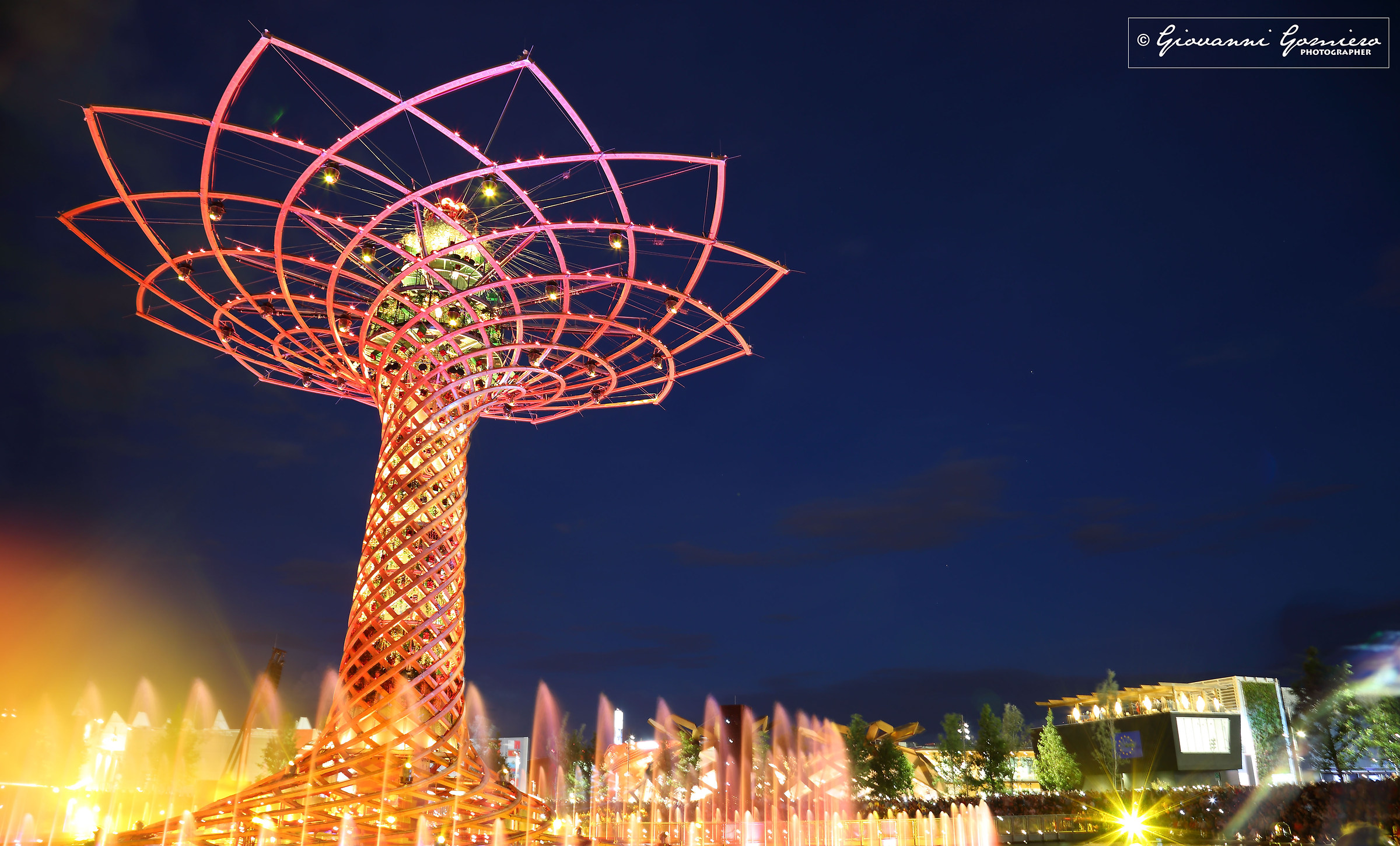 Tree of Life Expo2015