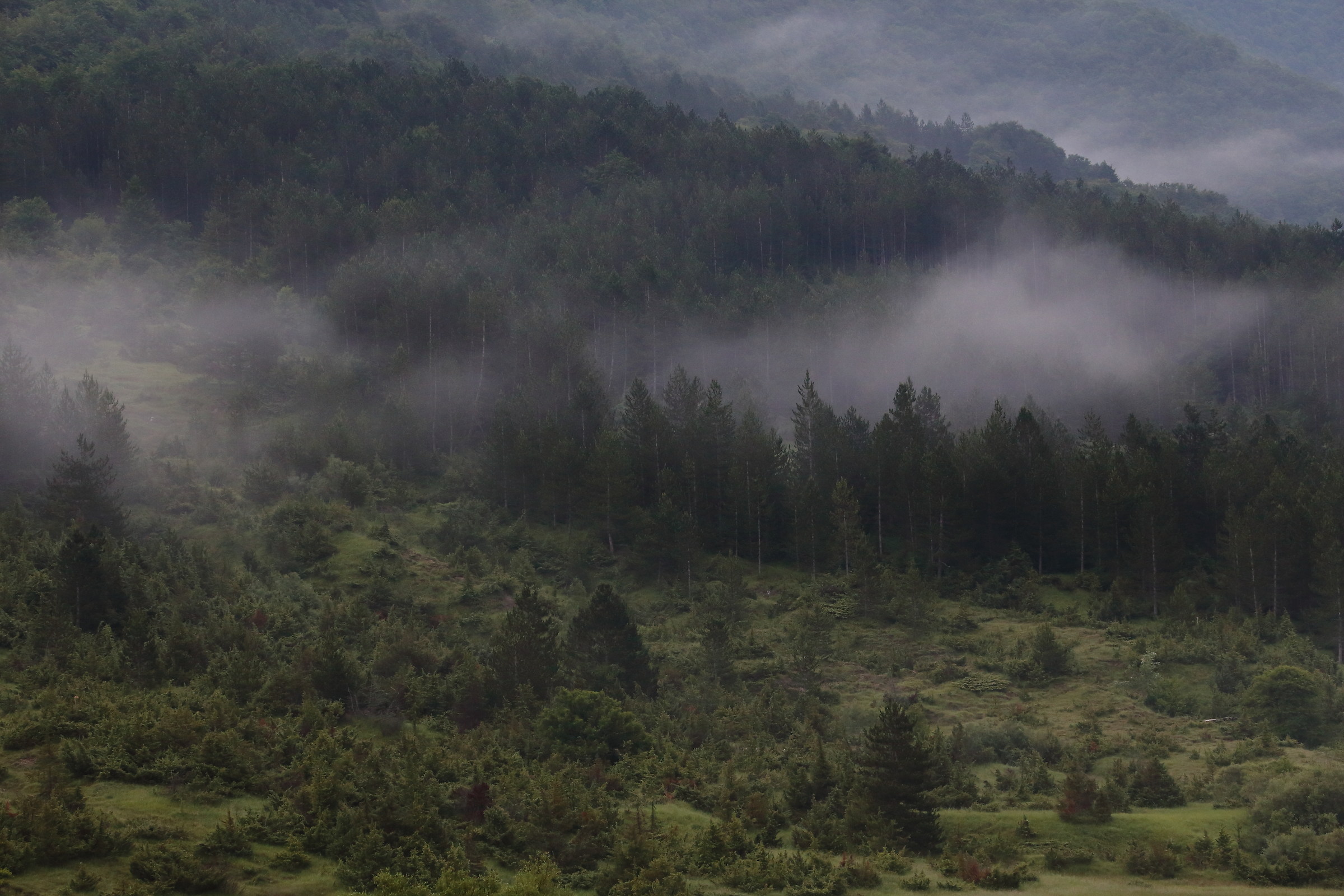 Mattina estiva fredda!