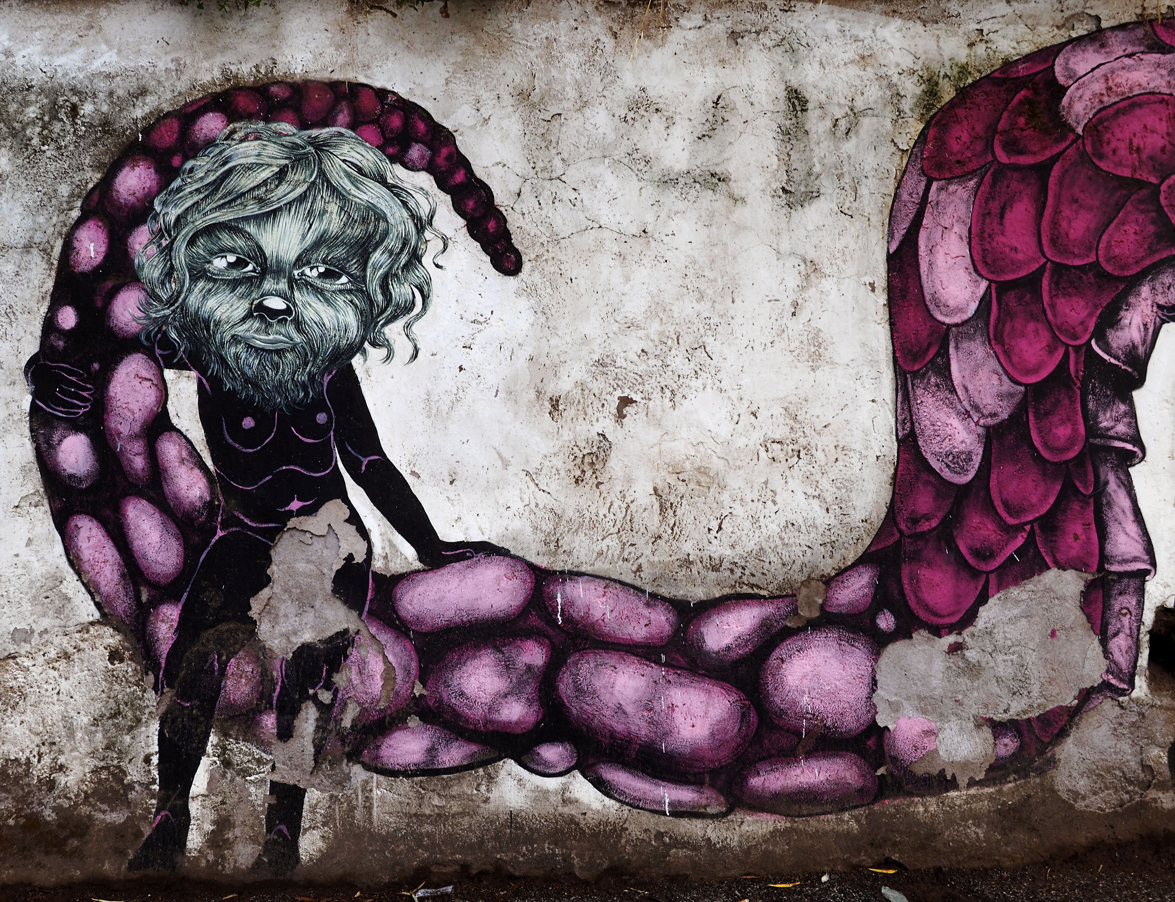 La coda del serpente