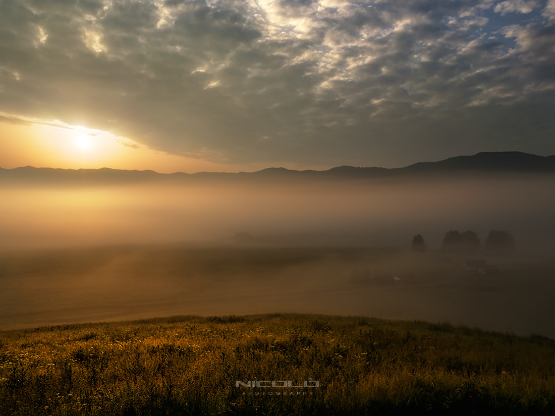 Seconda alba in Cansiglio