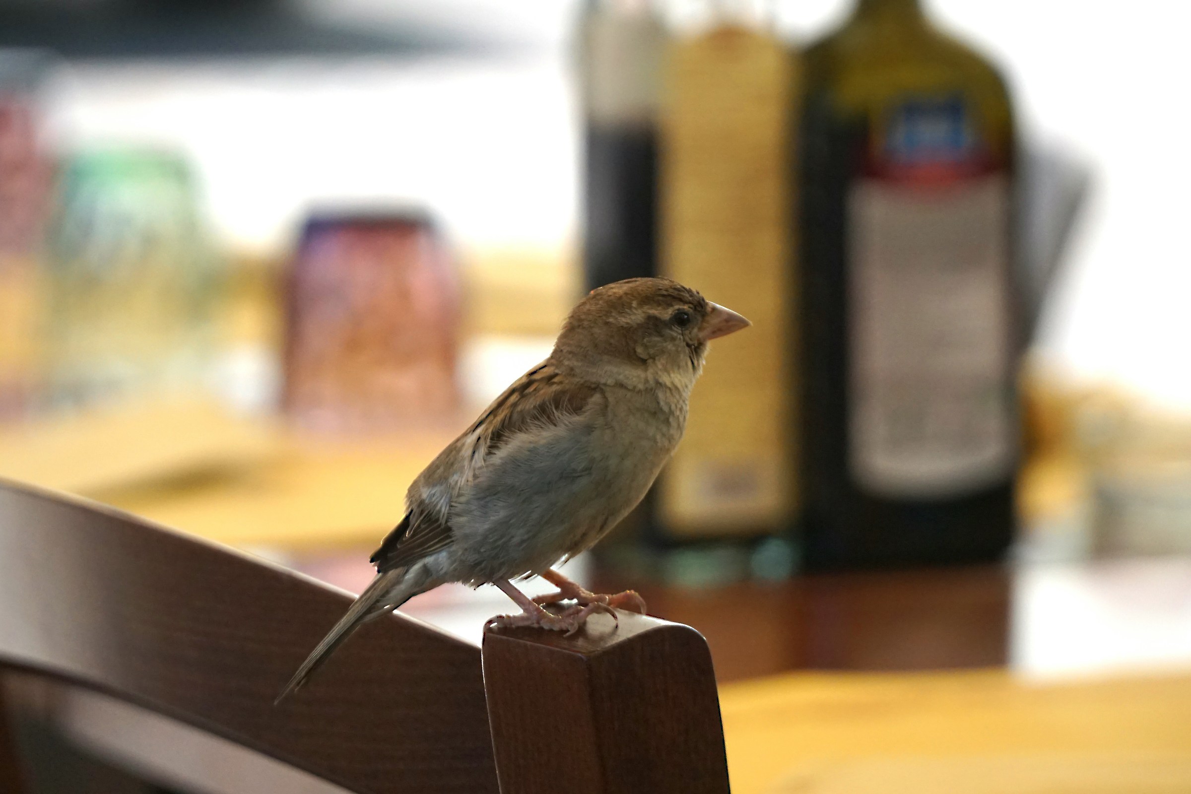 Speriamo faccia presto...