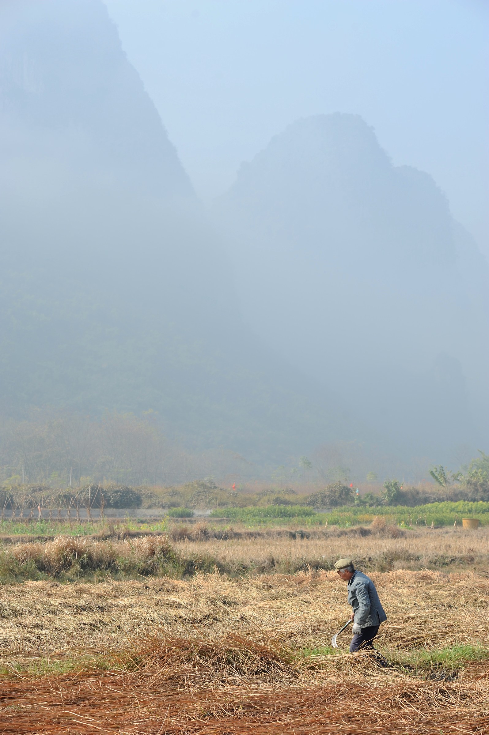 Contadino cinese, Yangshuo