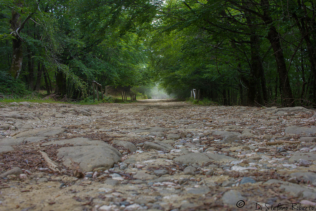 Verso il lago Maulazzo-Nebrodi