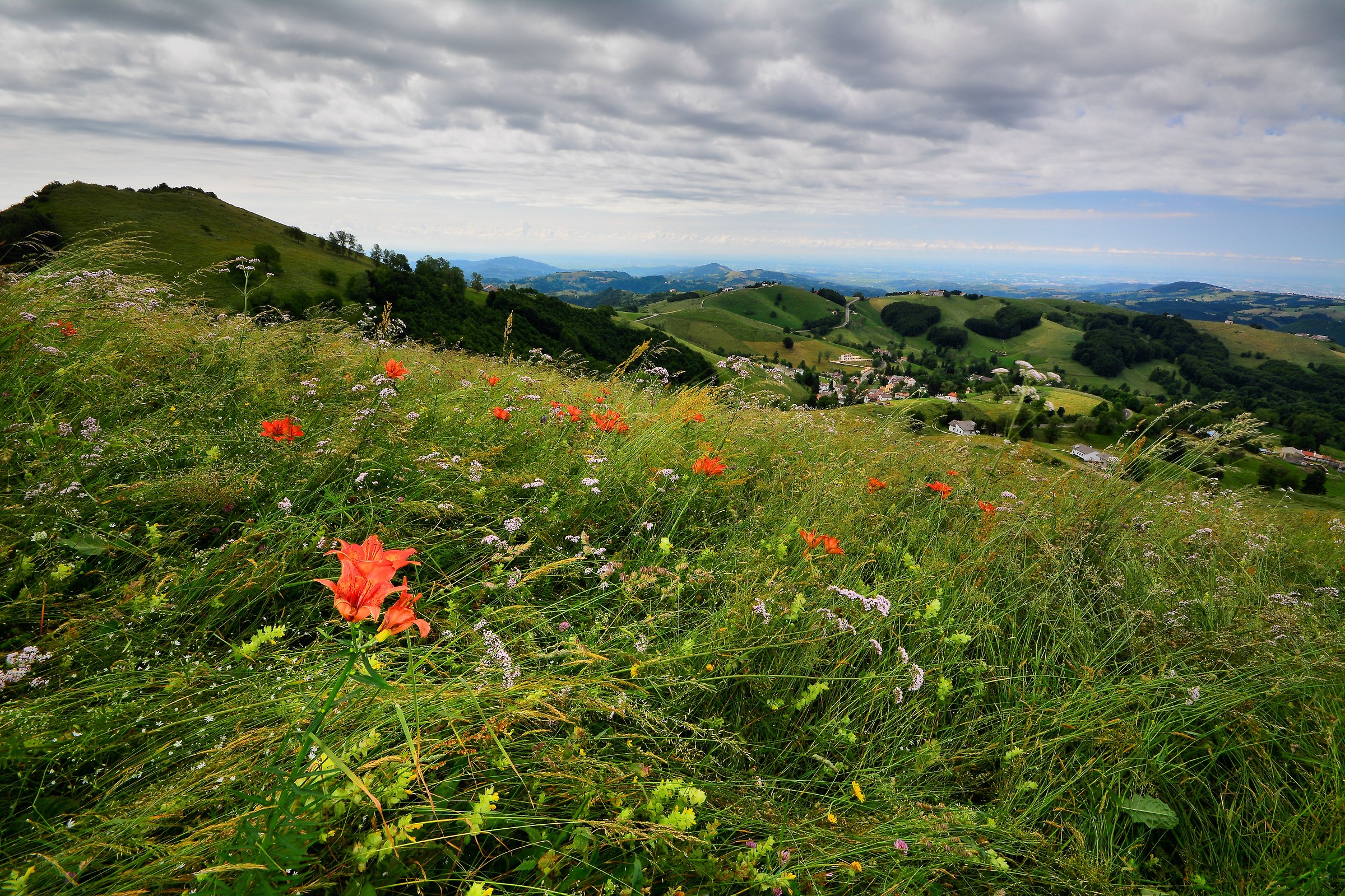 Natural liberty Lessinia