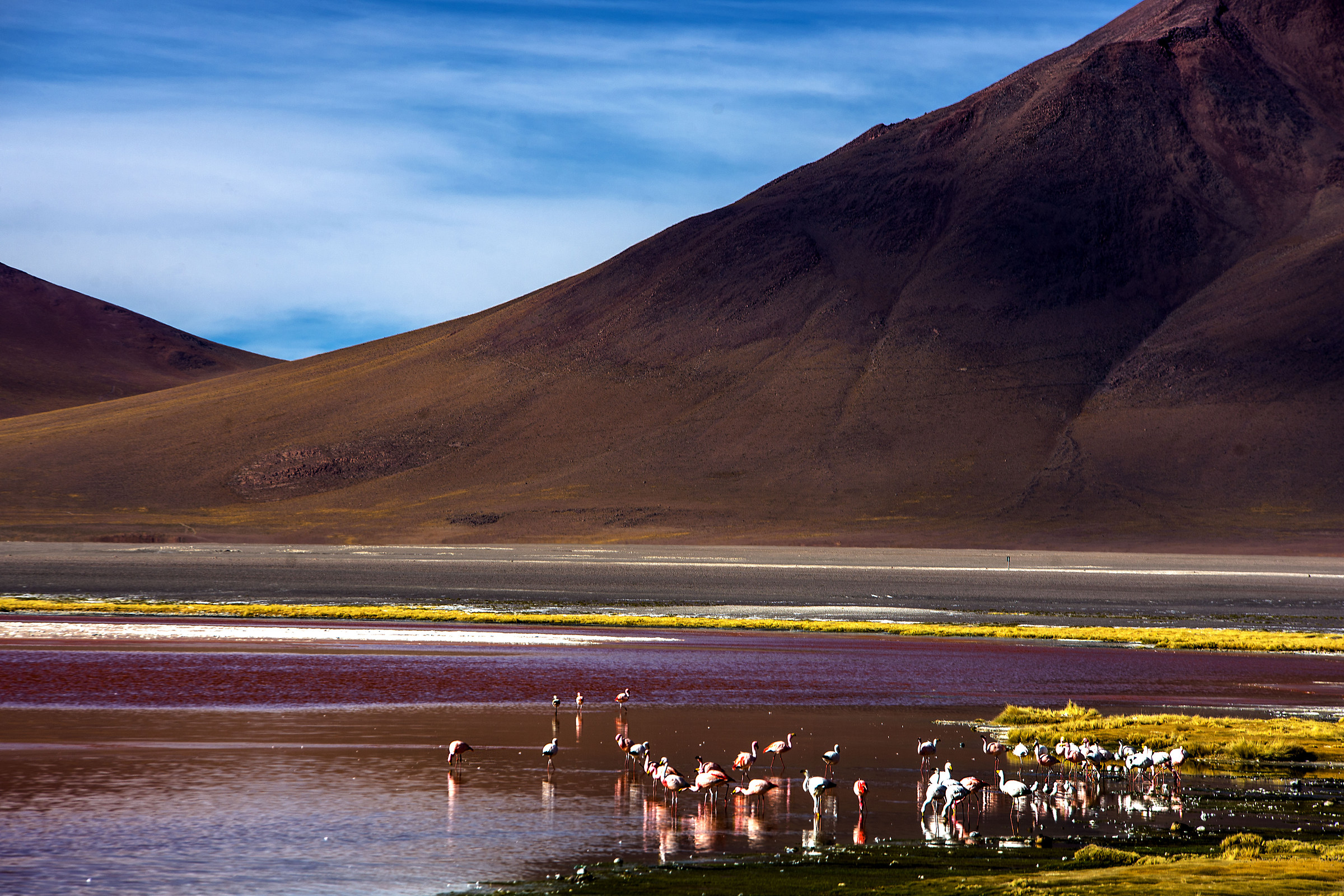 Laguna colorada