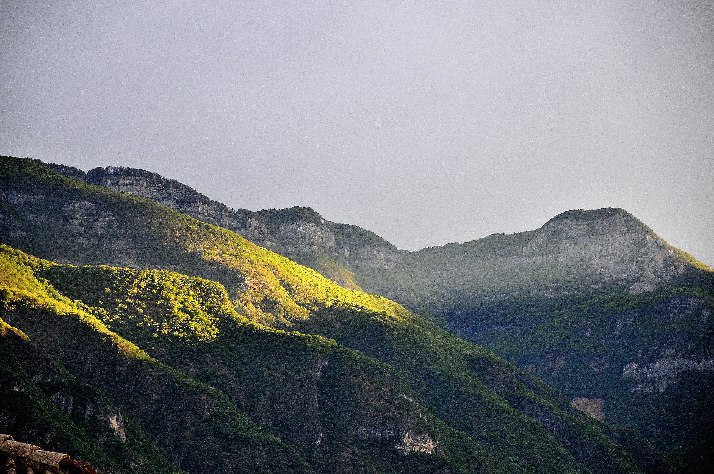 Ognuno sta solo sul cuor della terra trafitto da..(S.Q)