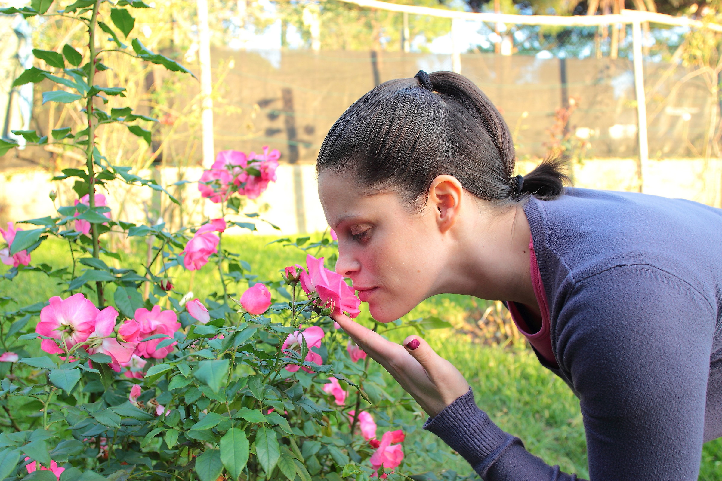 Rose Garden of nerves