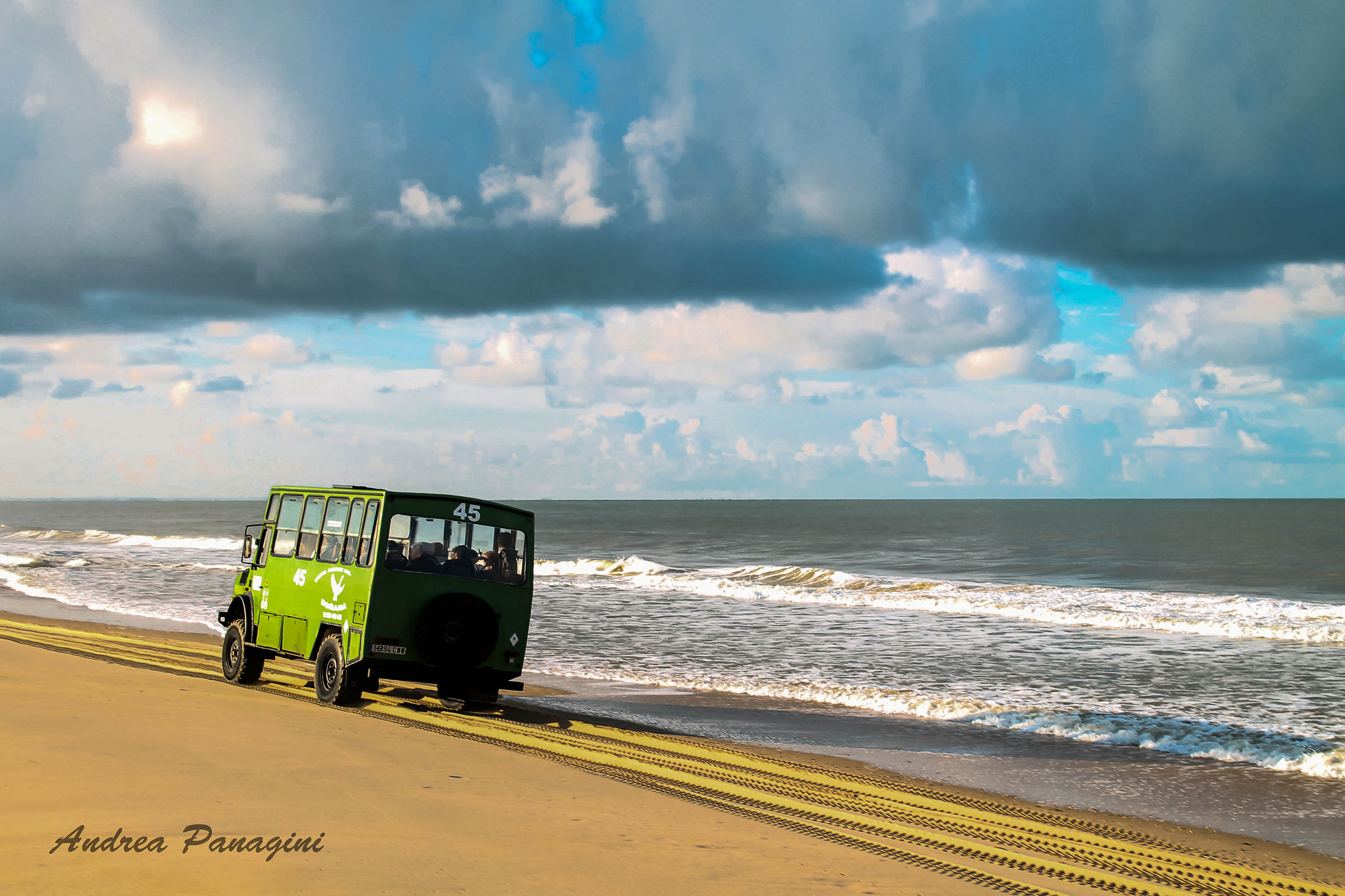 Safari Doñana National Park