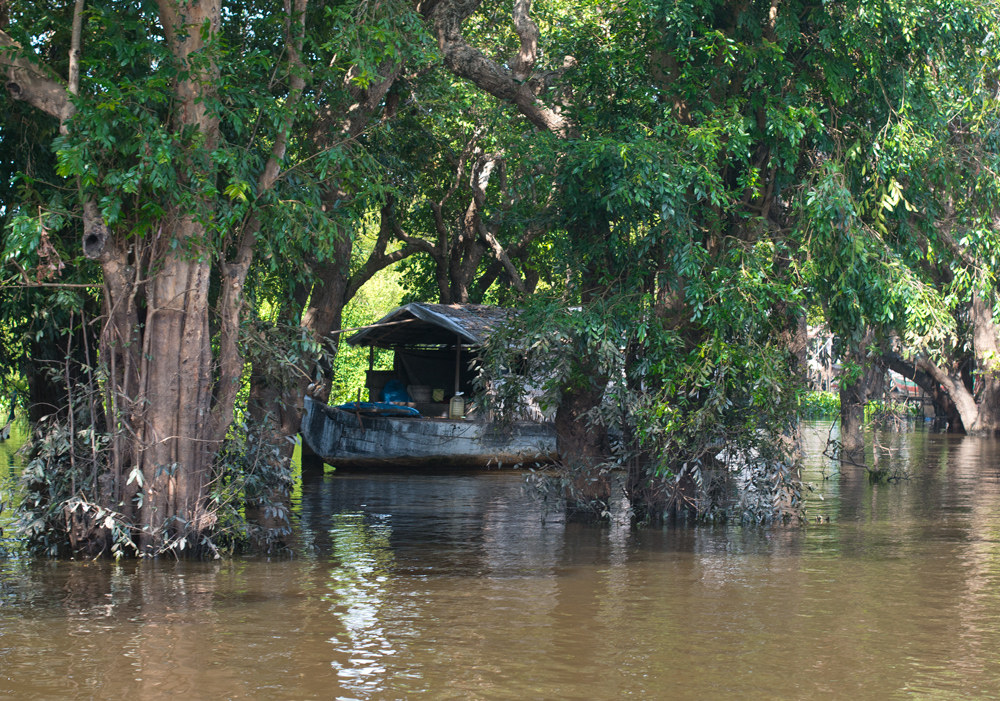 Homes Lake Tonle Sap