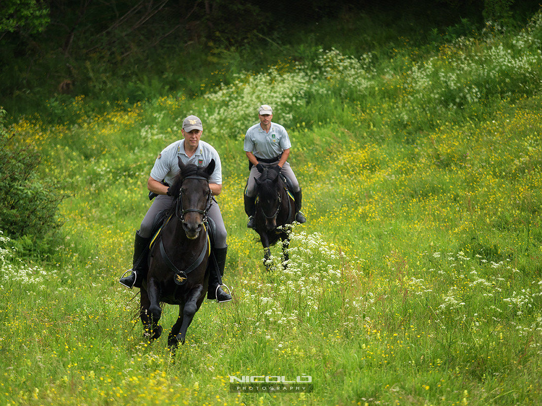 Guardie Forestali in Cansiglio