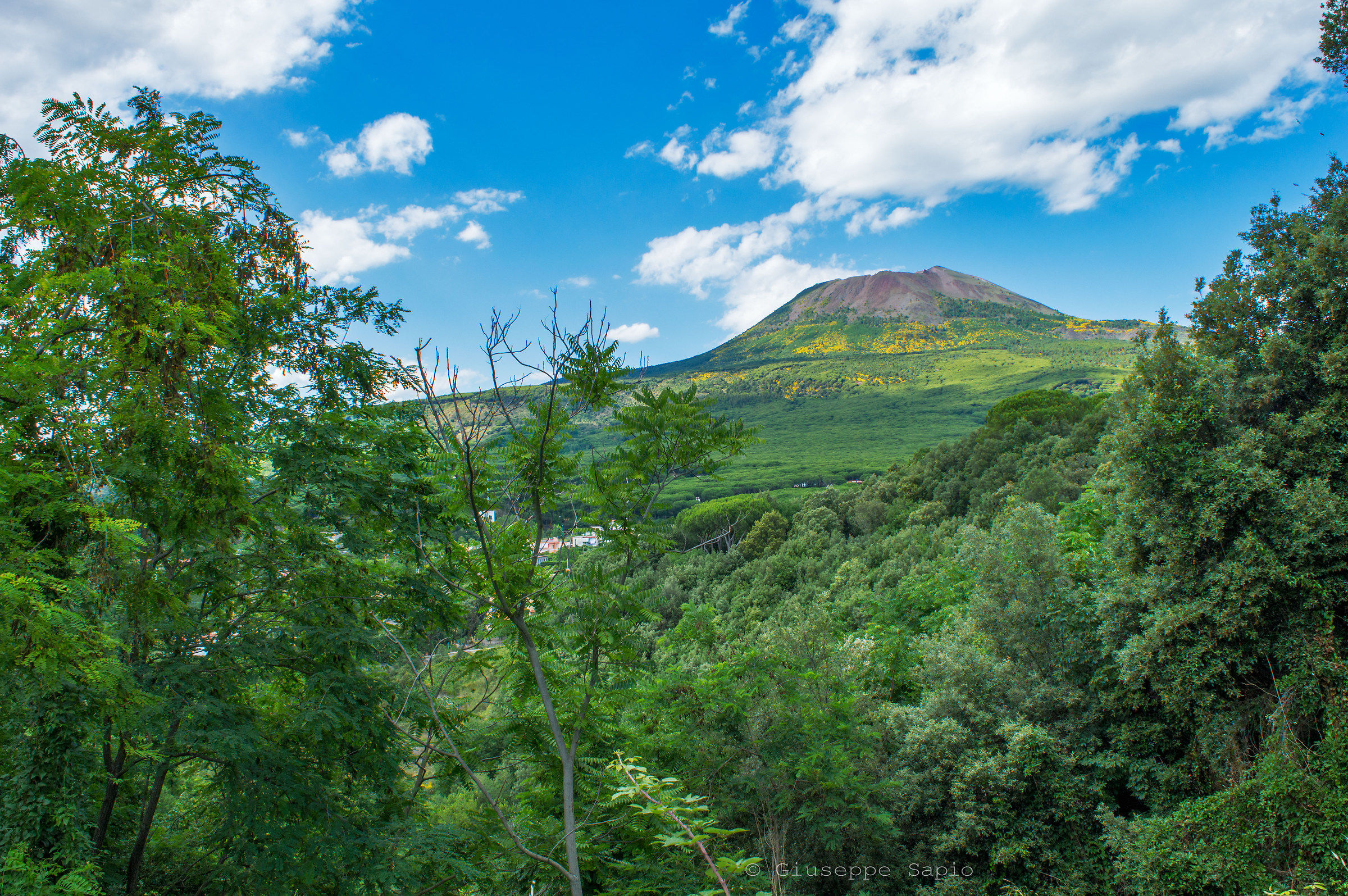 Imposing magnificence