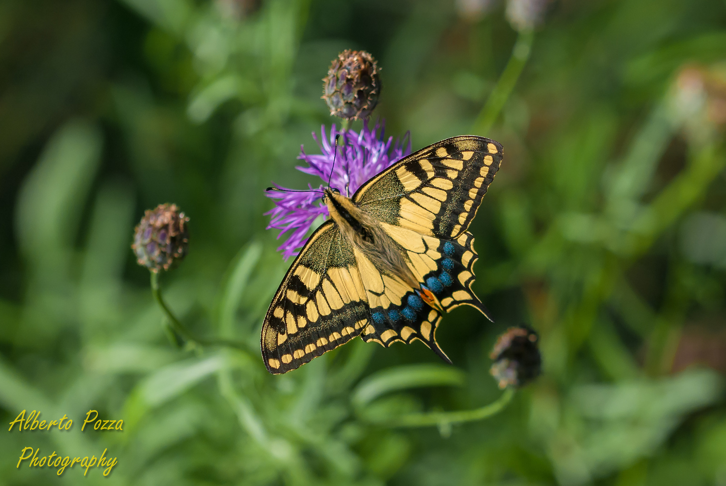 Are posing ... clicks !!!