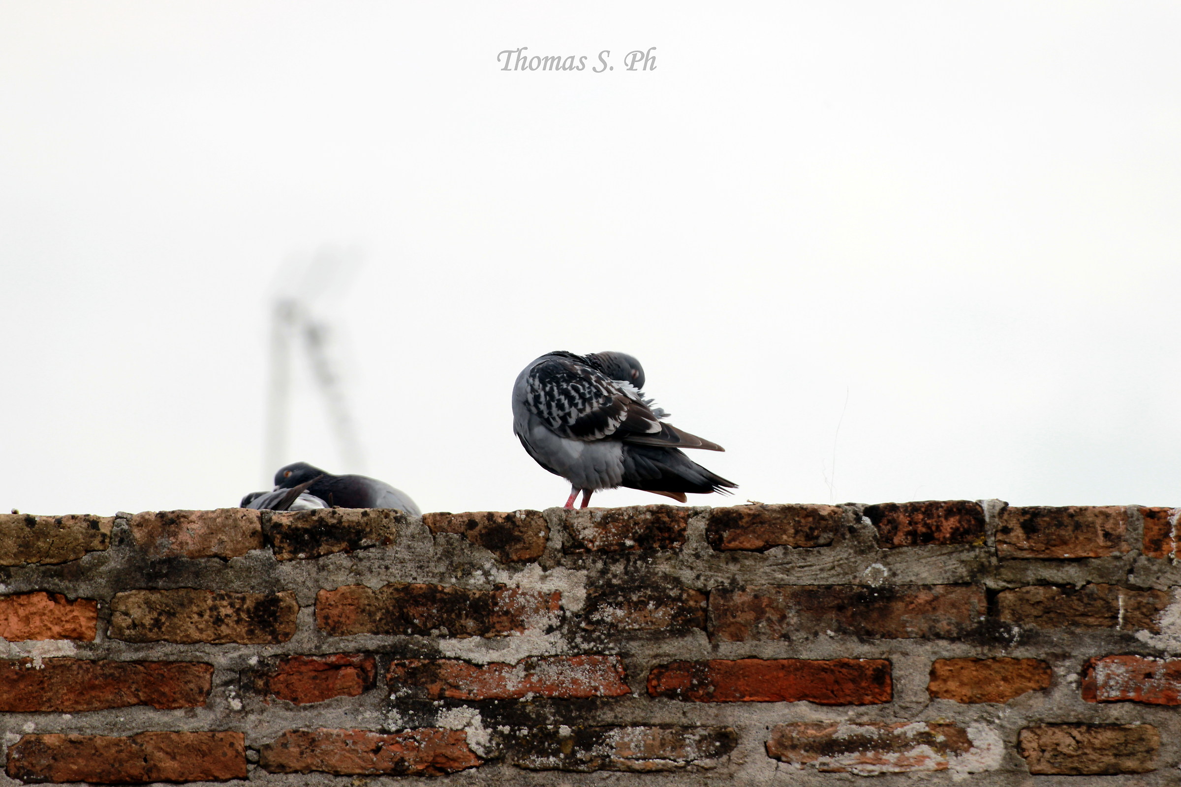 Pulizie di Primavera?