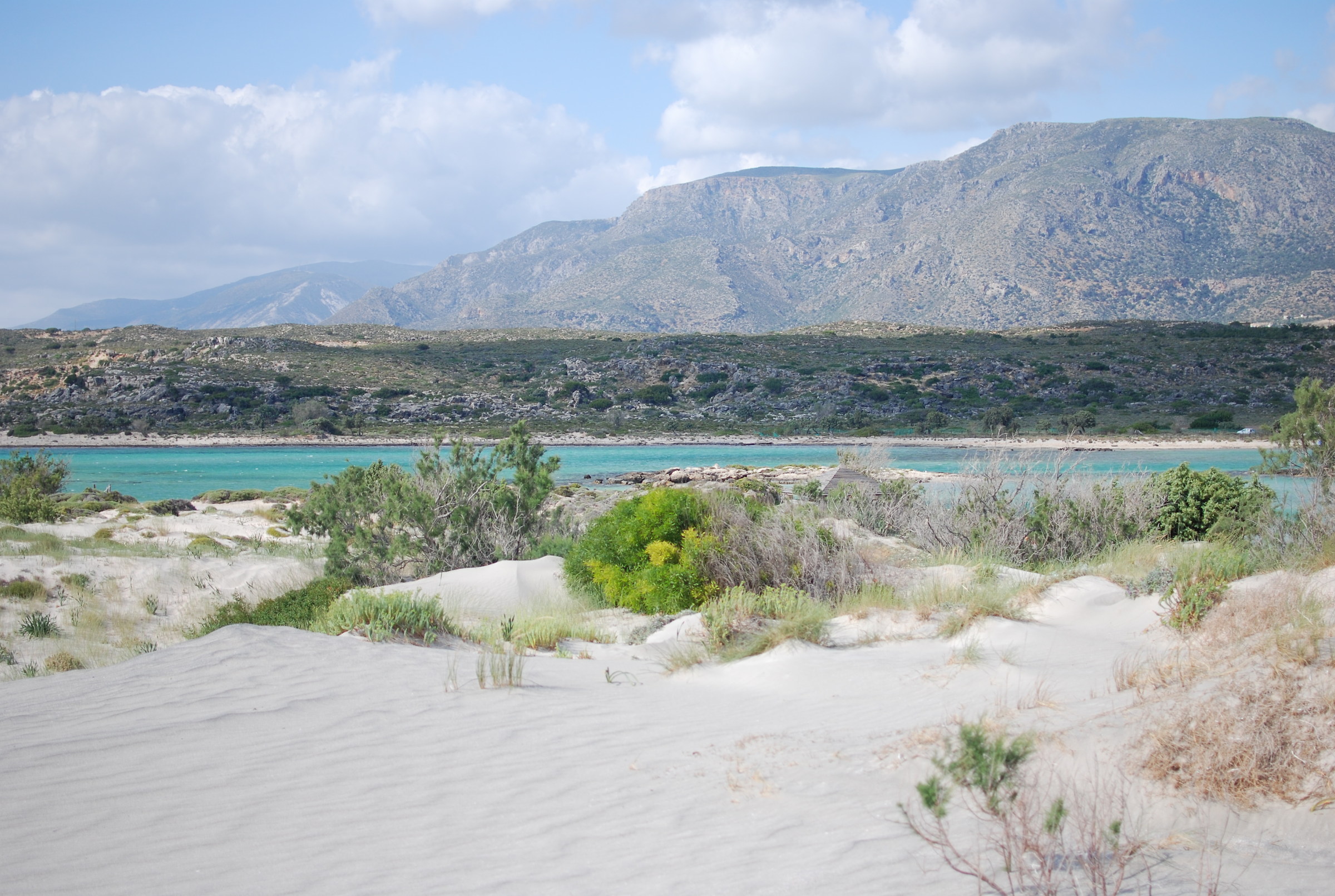 Verde, Elafonissi, Creta