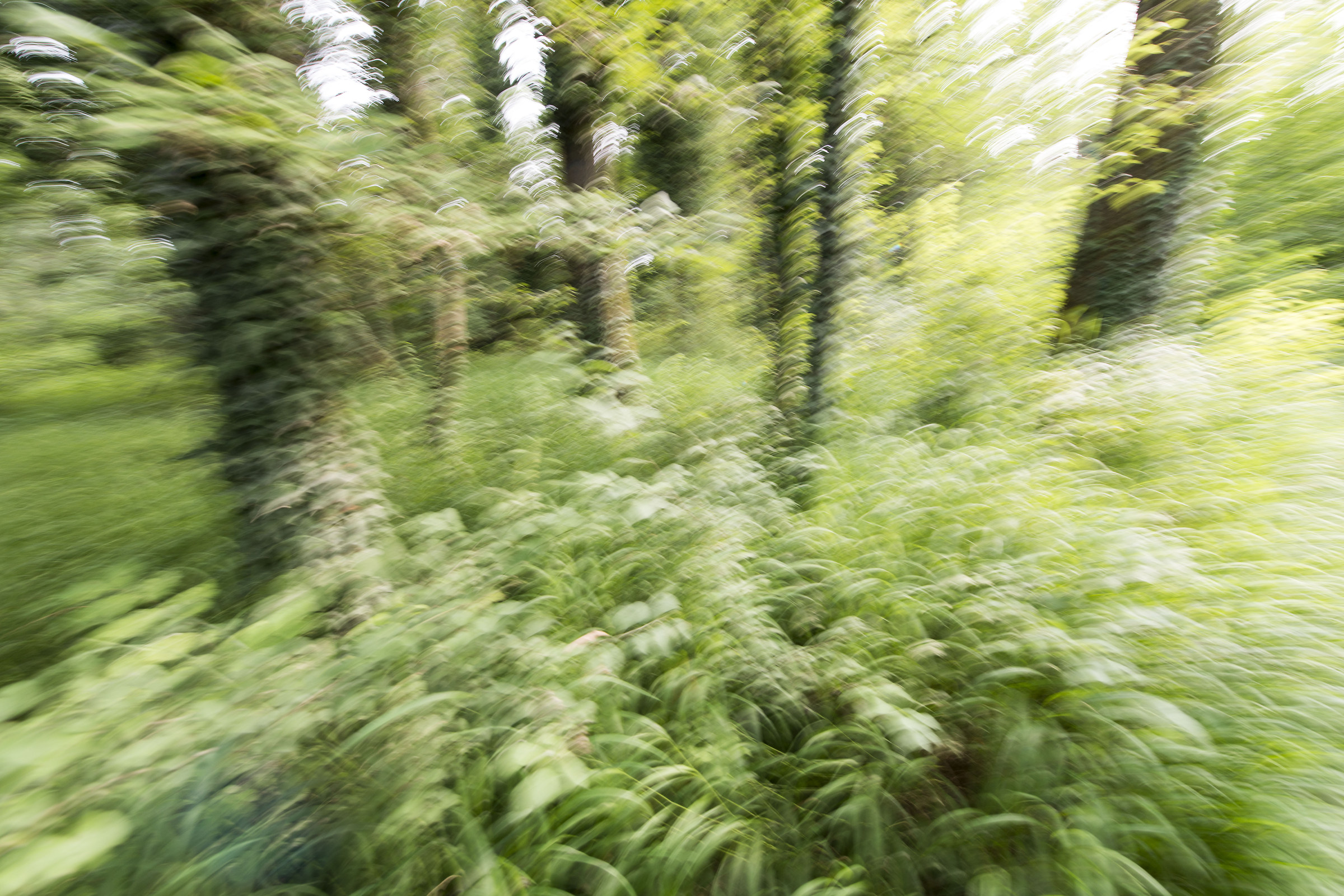 Scrivere con la luce