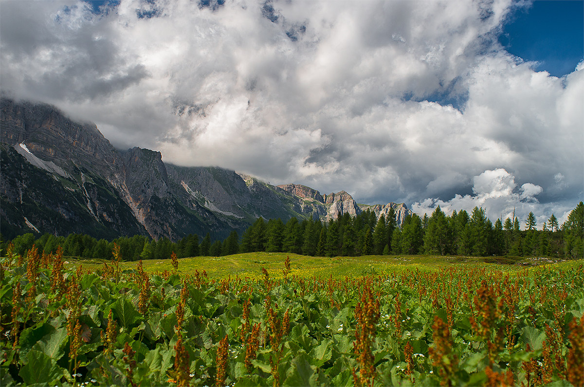 View from Malga Flavona - Dolomites