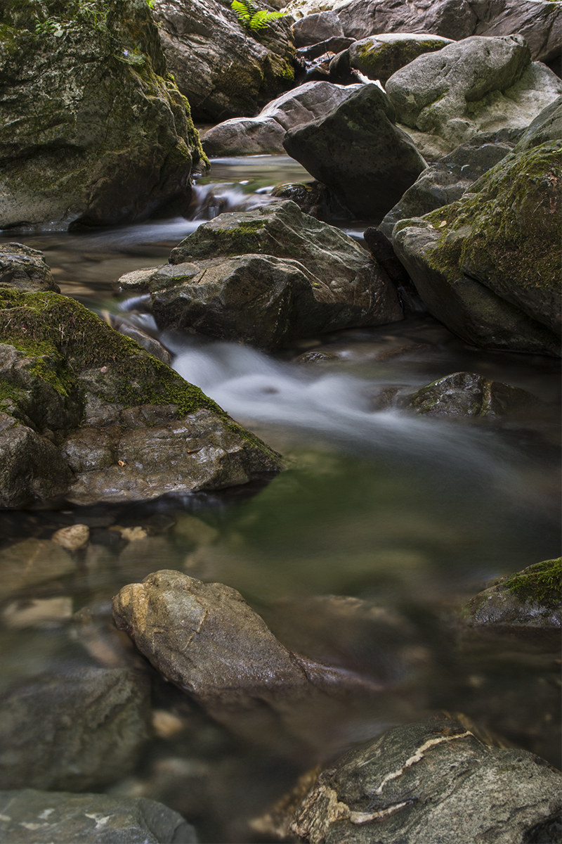 Torrente Arroscia (im)