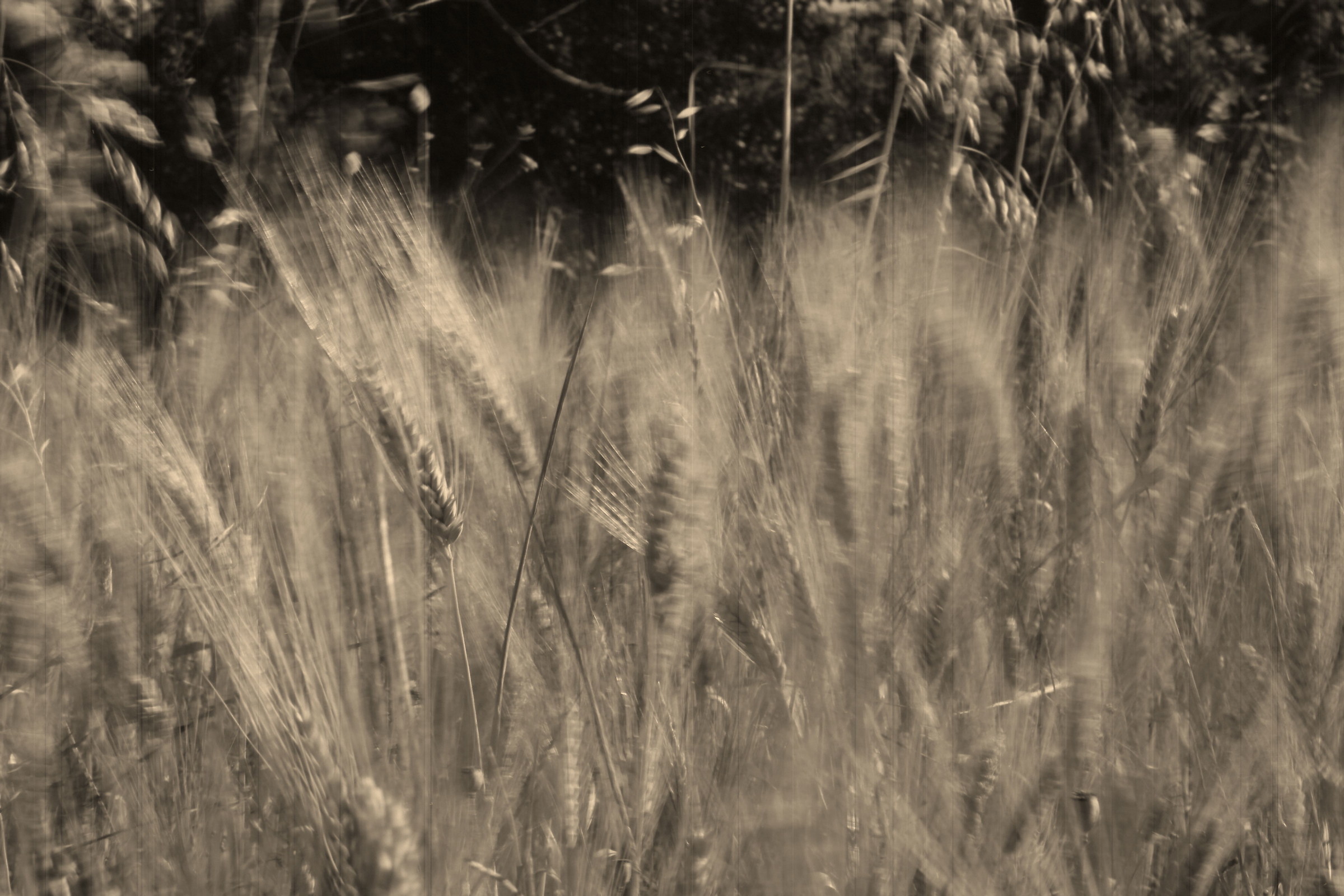 Stronger, more 'wind