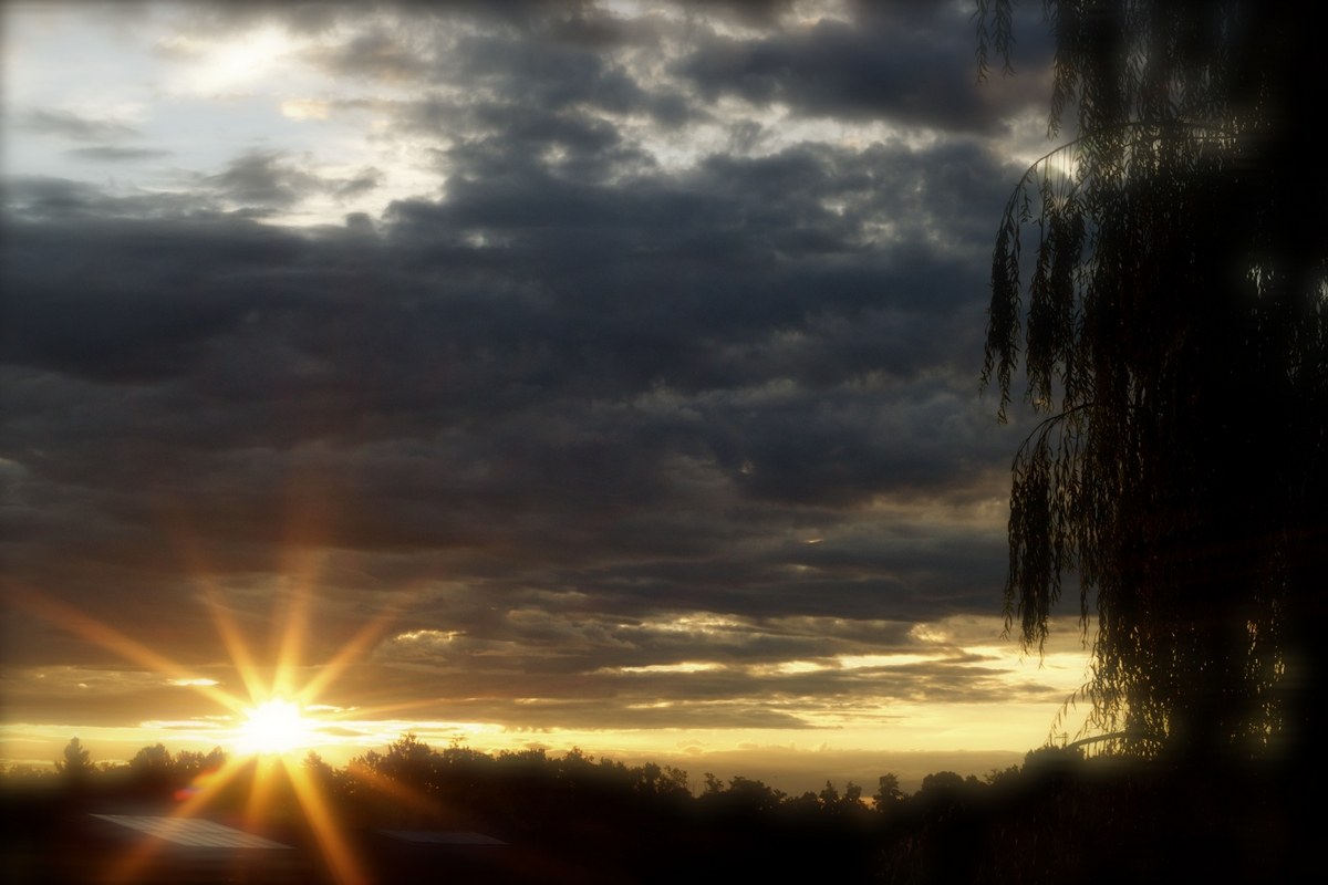 il buongiorno dalla finestra...