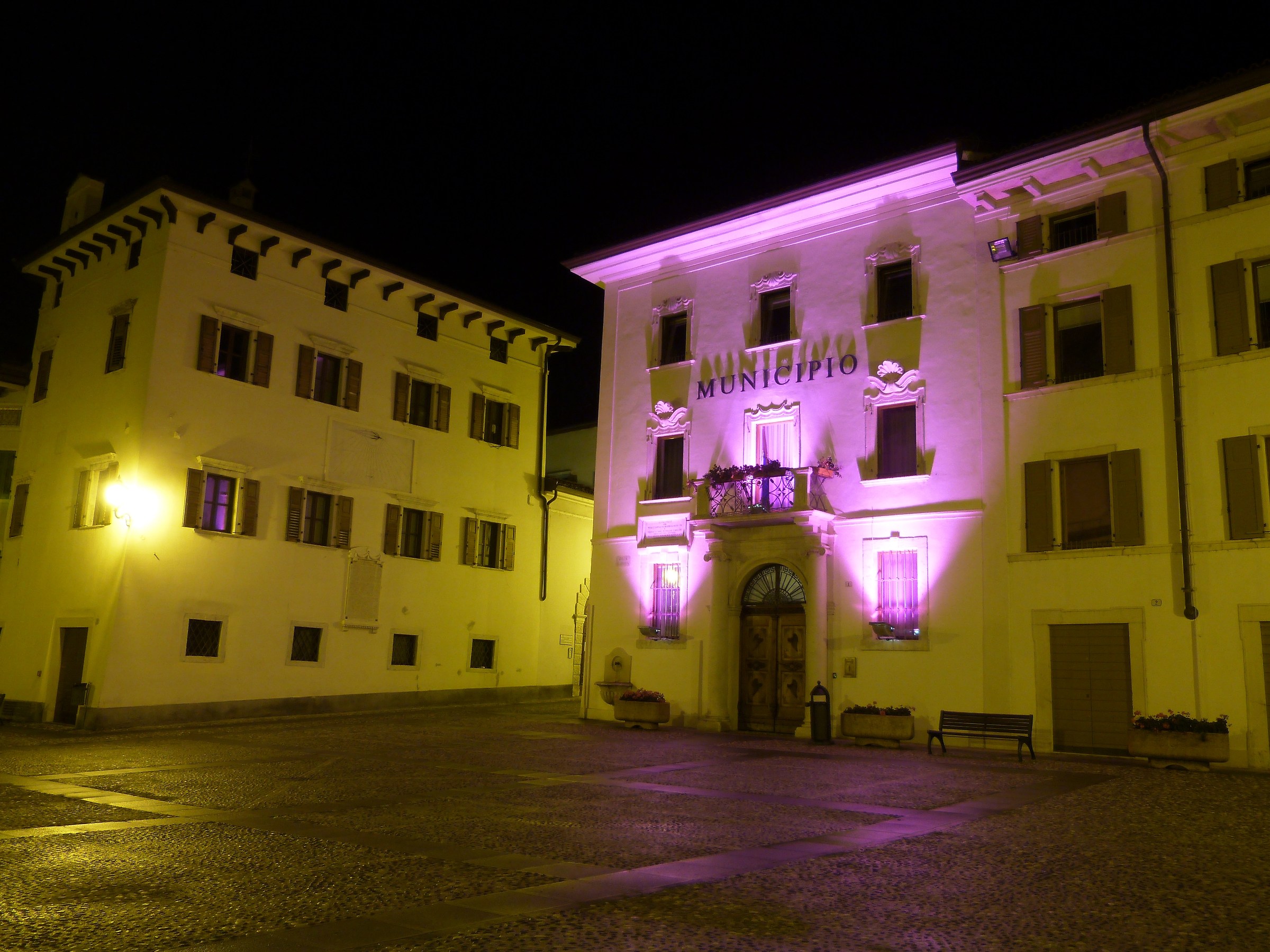 Ala. Town Hall. Pink night.