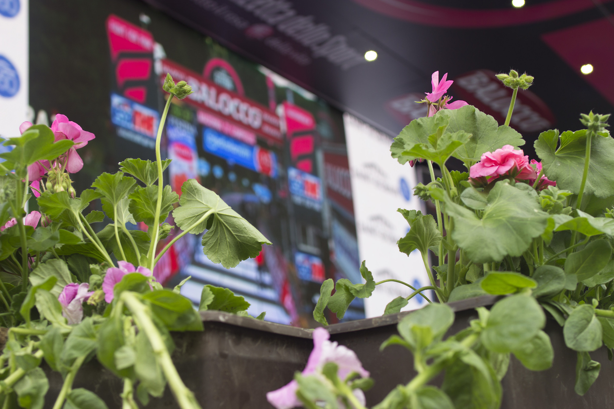 in giro.... con il giro