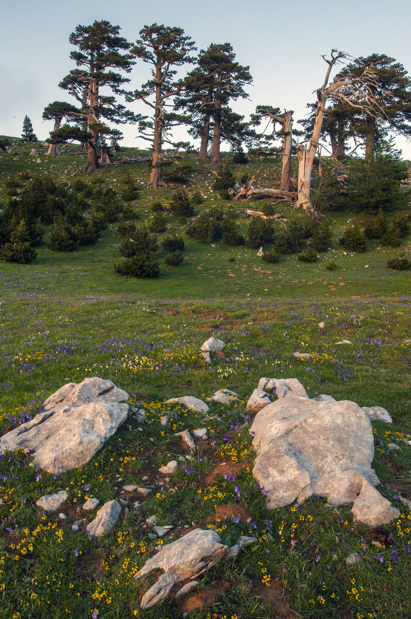 Last light at Garden of the Gods