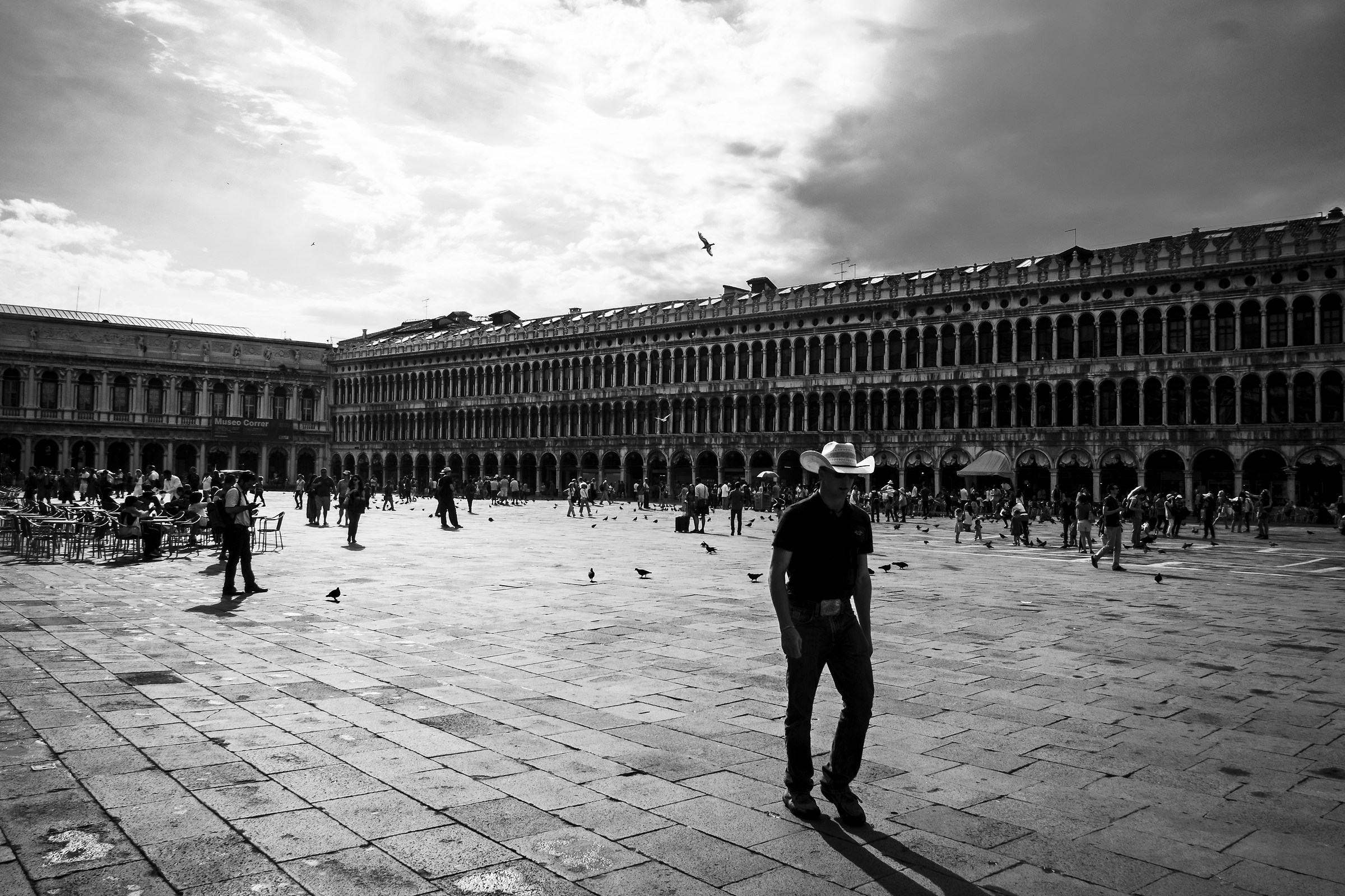 Cowboy in Venice 06/19/2015