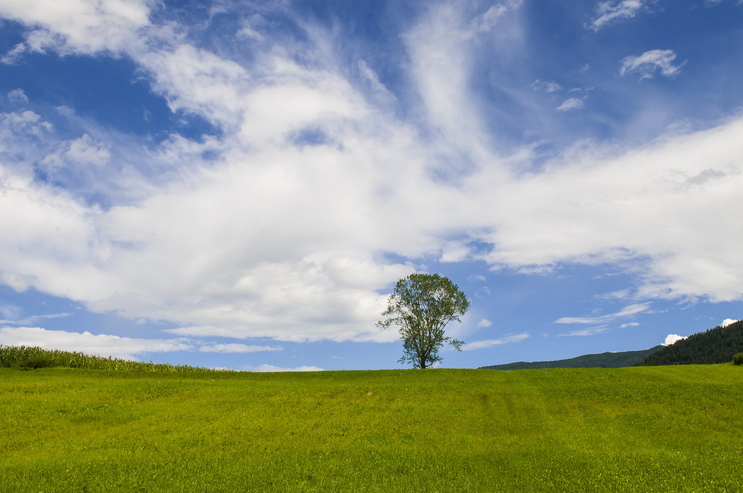 solitude or freedom. . .